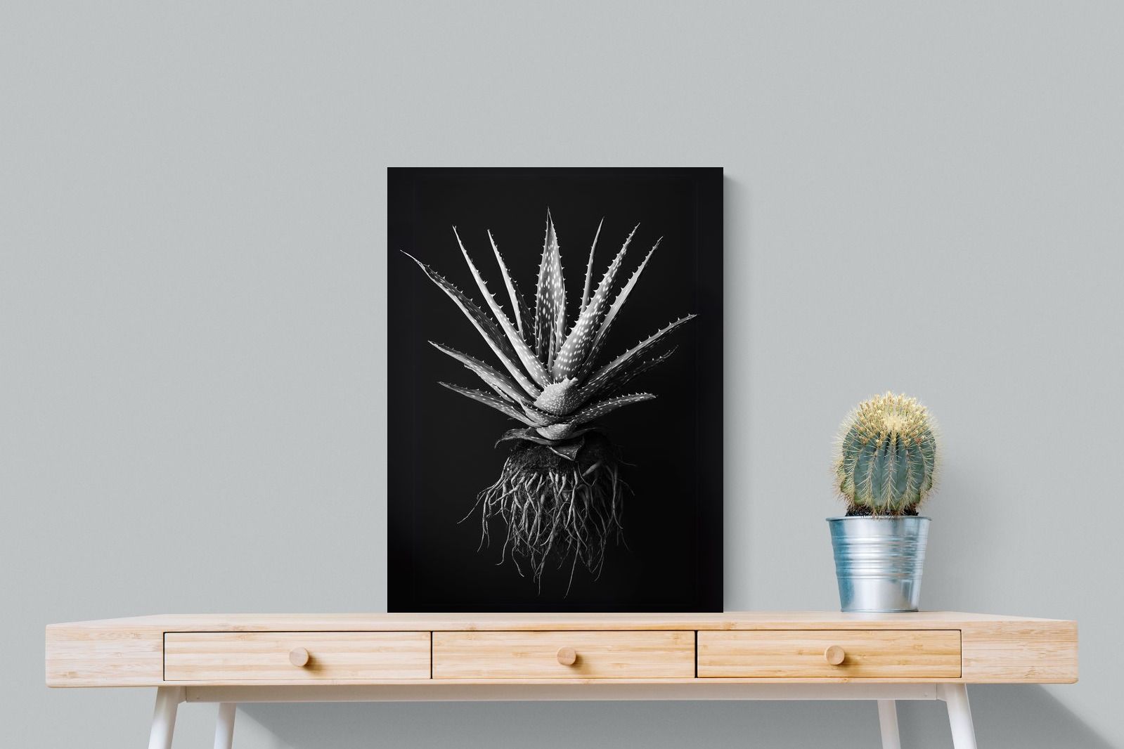 Pixalot Black Aloe