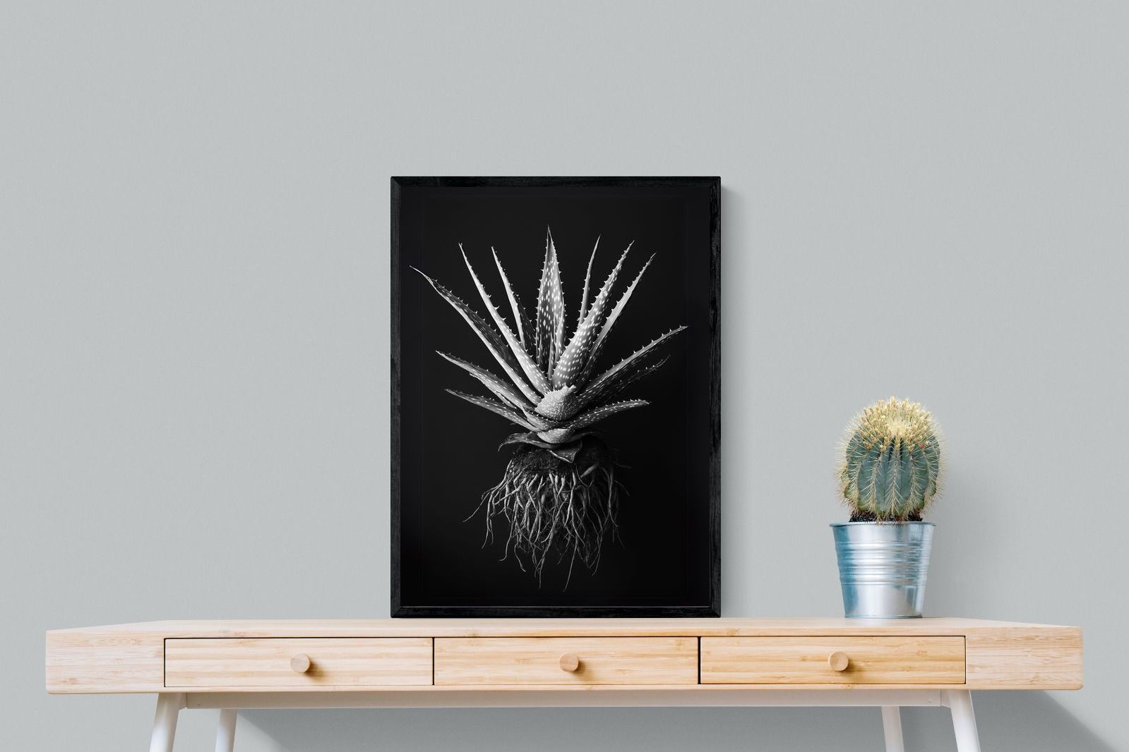 Pixalot Black Aloe