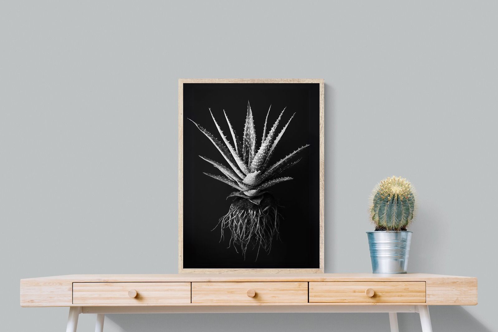 Pixalot Black Aloe