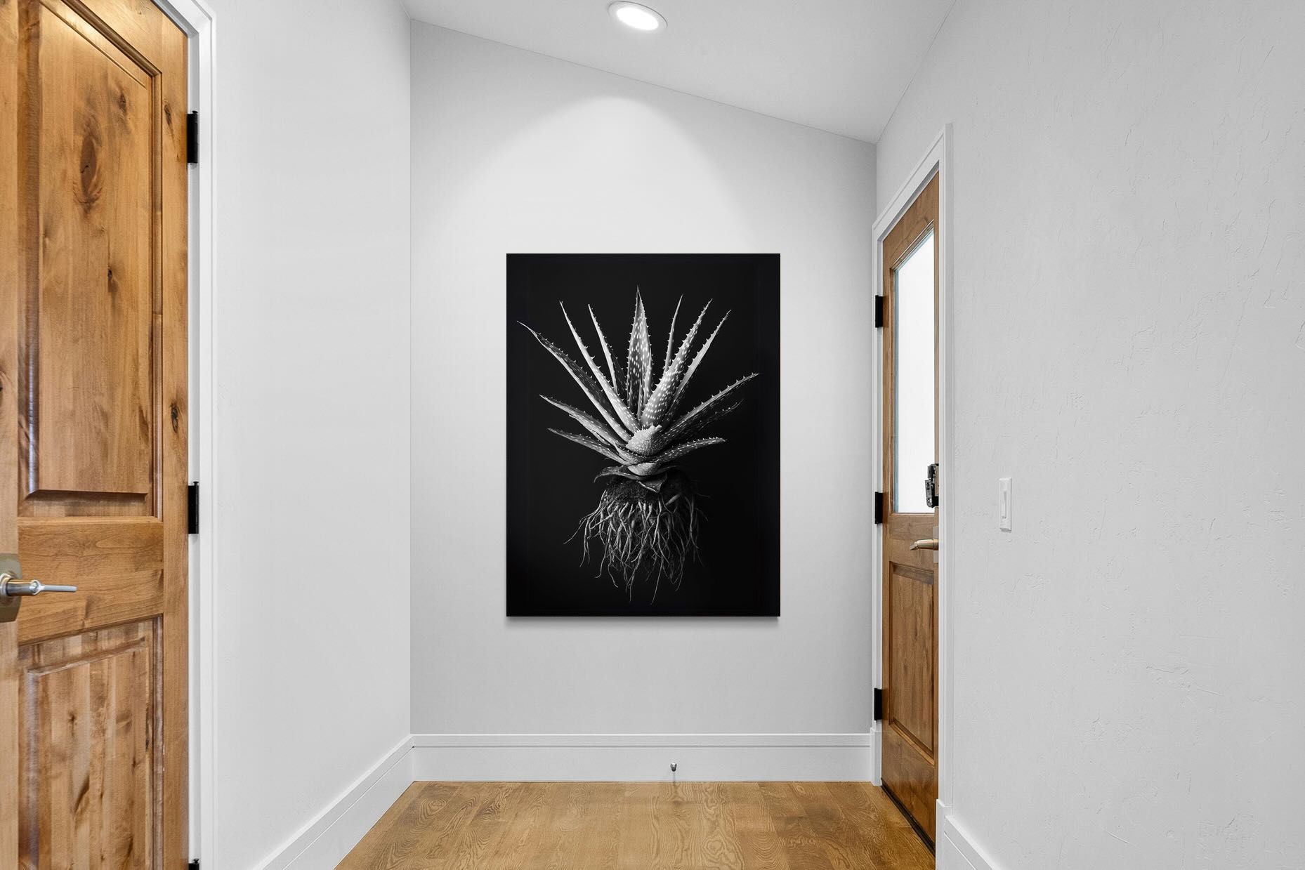 Pixalot Black Aloe