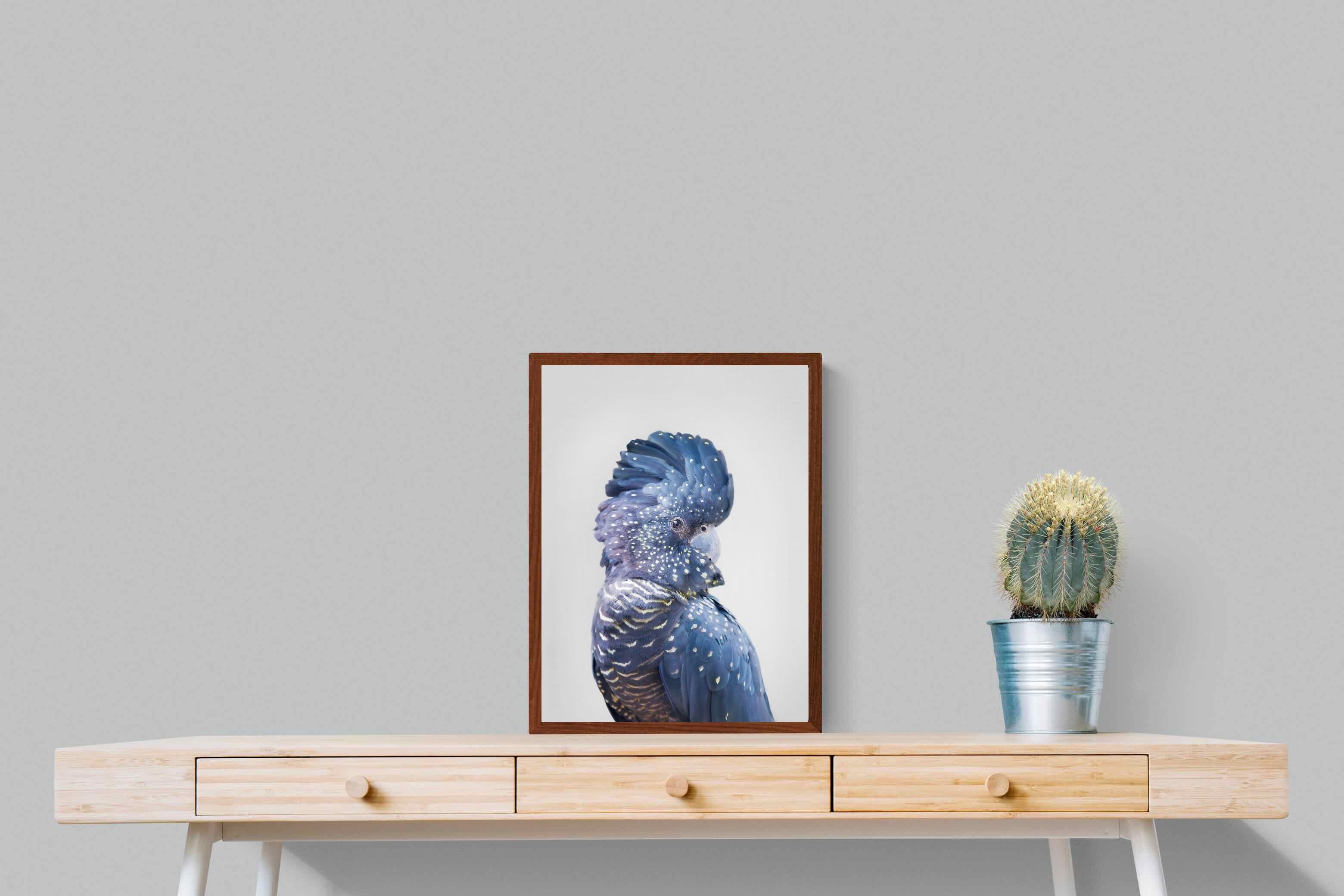 Pixalot Blue Cockatoo