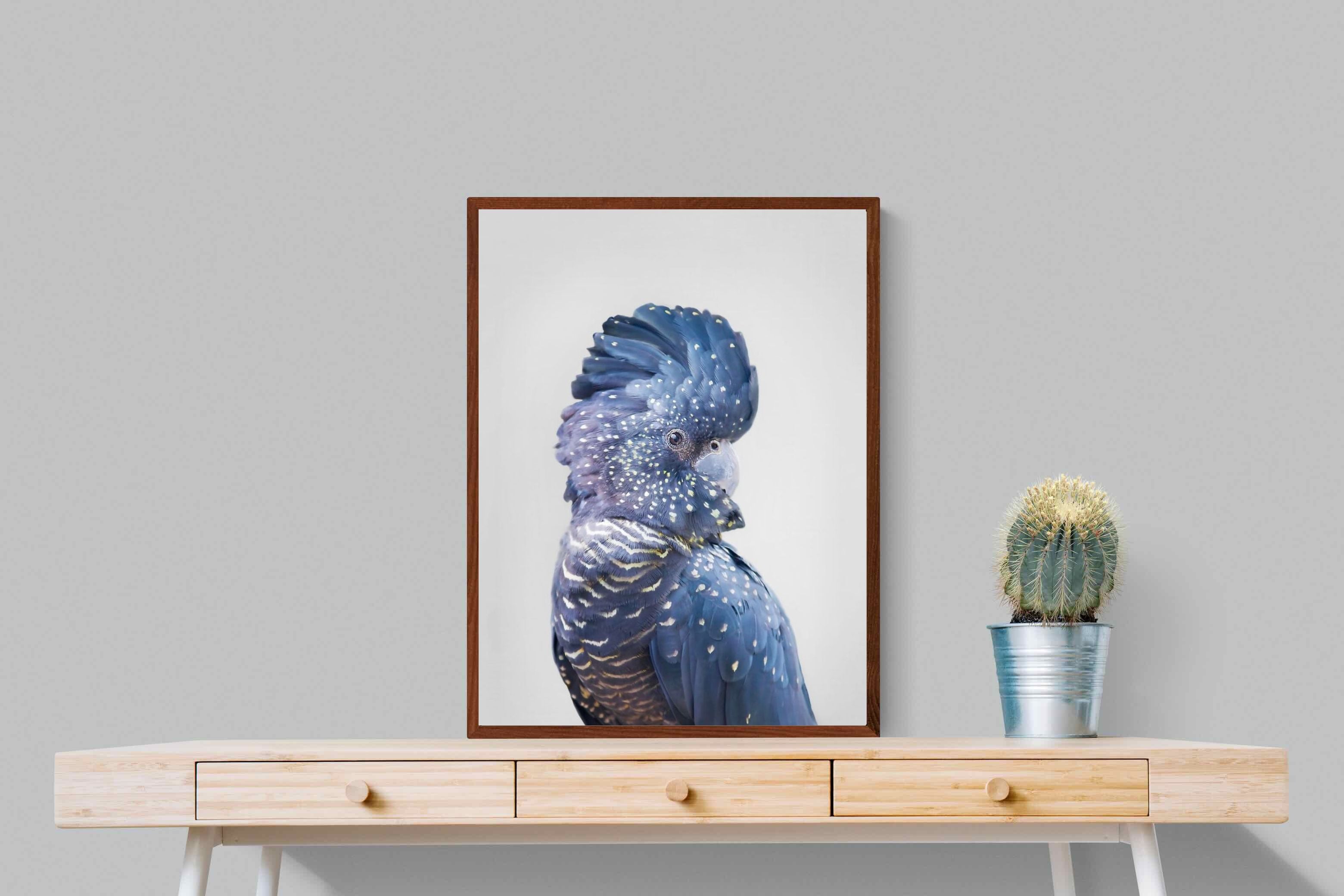 Pixalot Blue Cockatoo