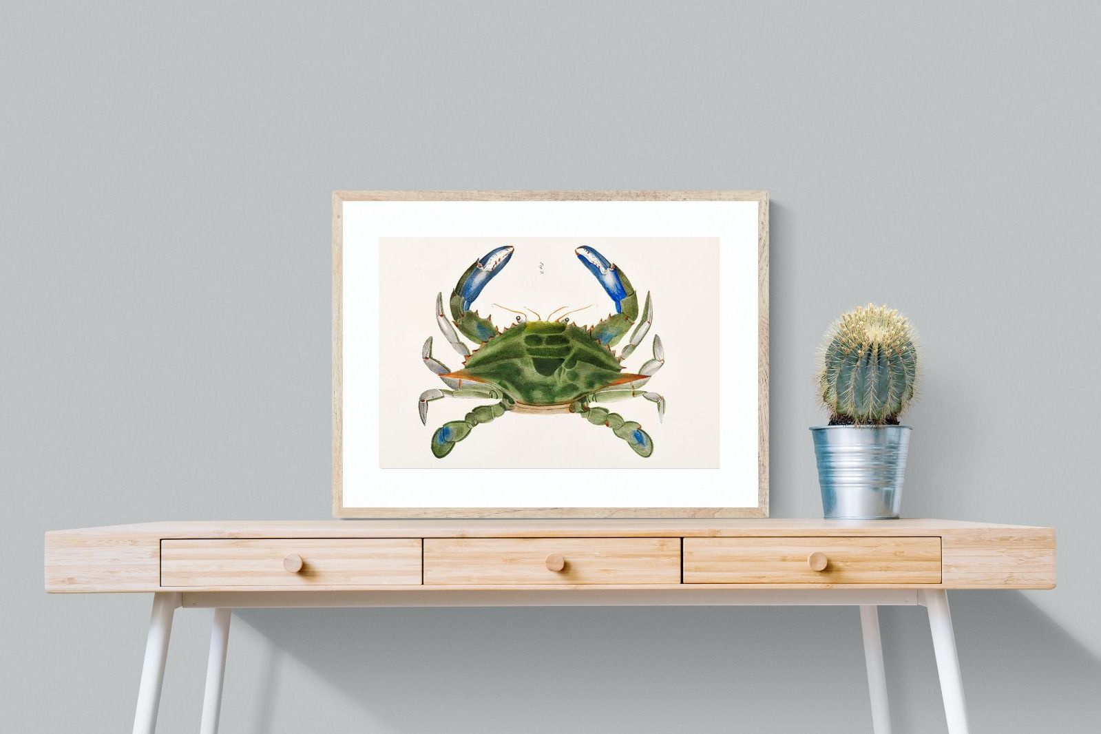Pixalot ® Blue Crab Illustration