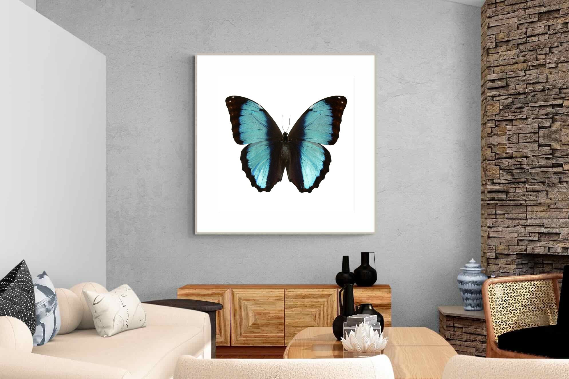 Pixalot Blue Morpho