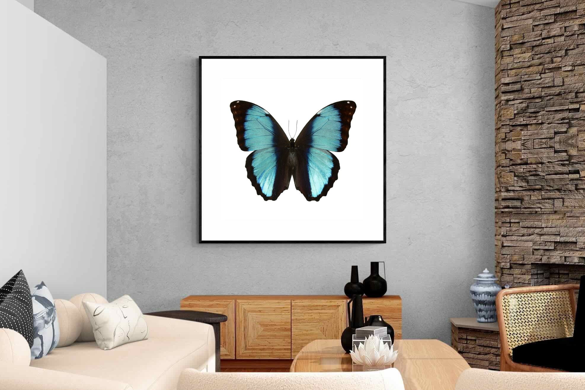 Pixalot Blue Morpho