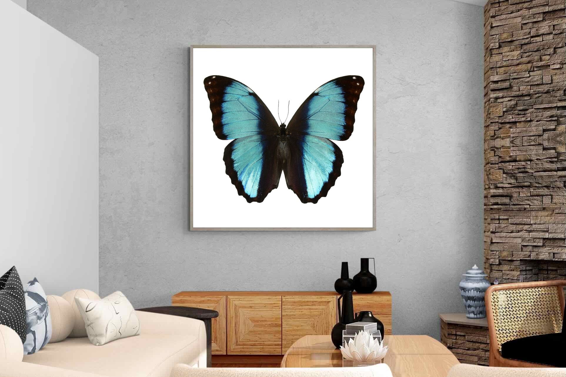 Pixalot Blue Morpho