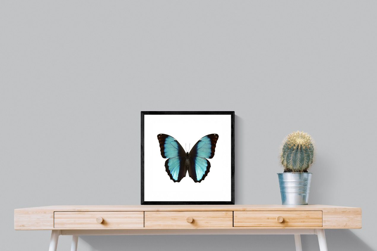 Pixalot Blue Morpho