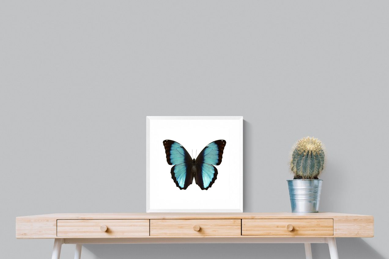 Pixalot Blue Morpho