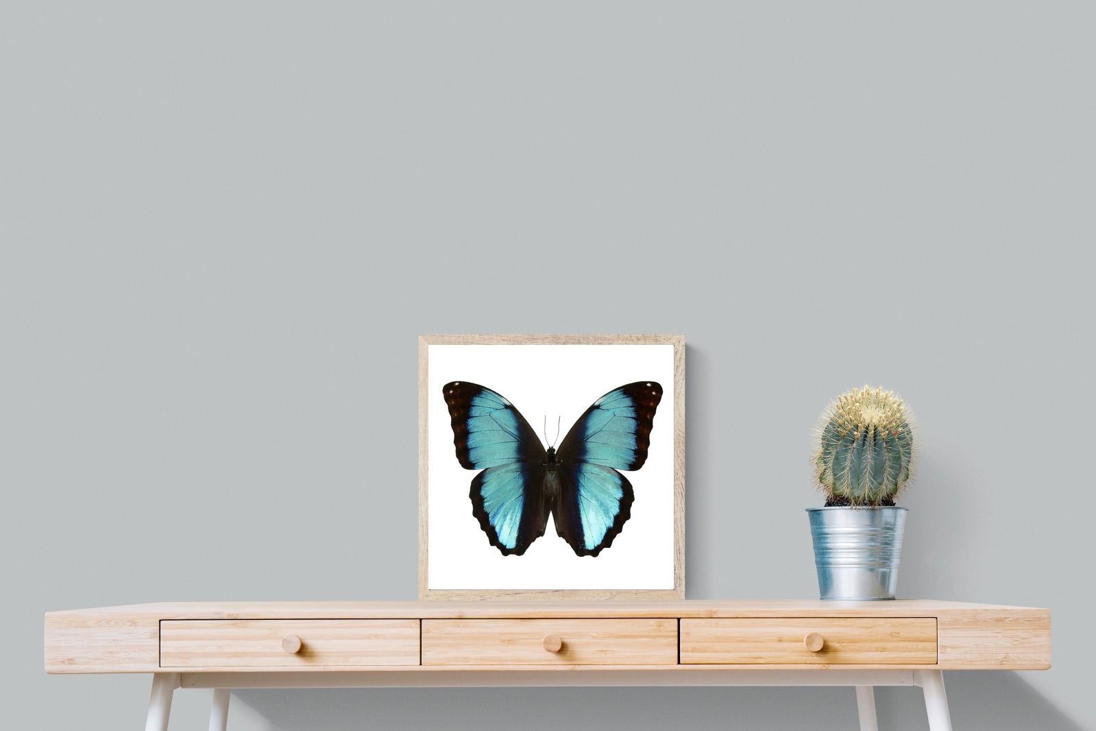 Pixalot Blue Morpho