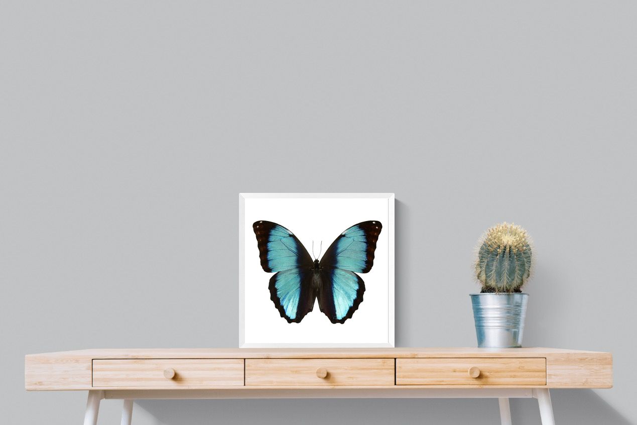 Pixalot Blue Morpho