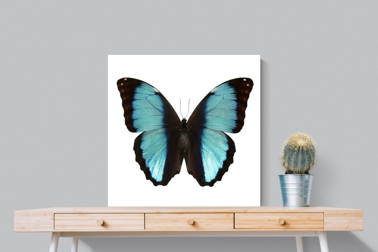 Pixalot Blue Morpho