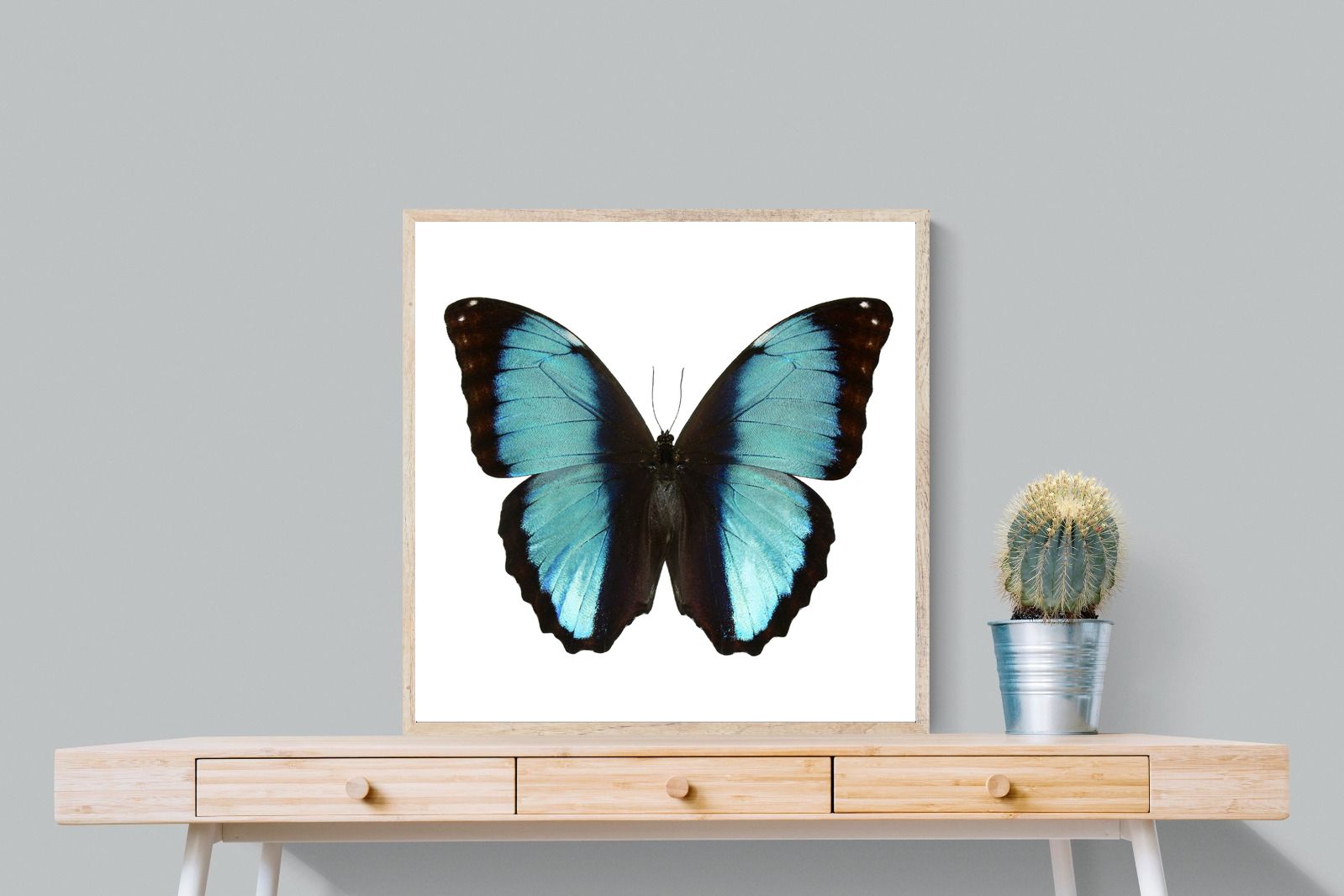 Pixalot Blue Morpho