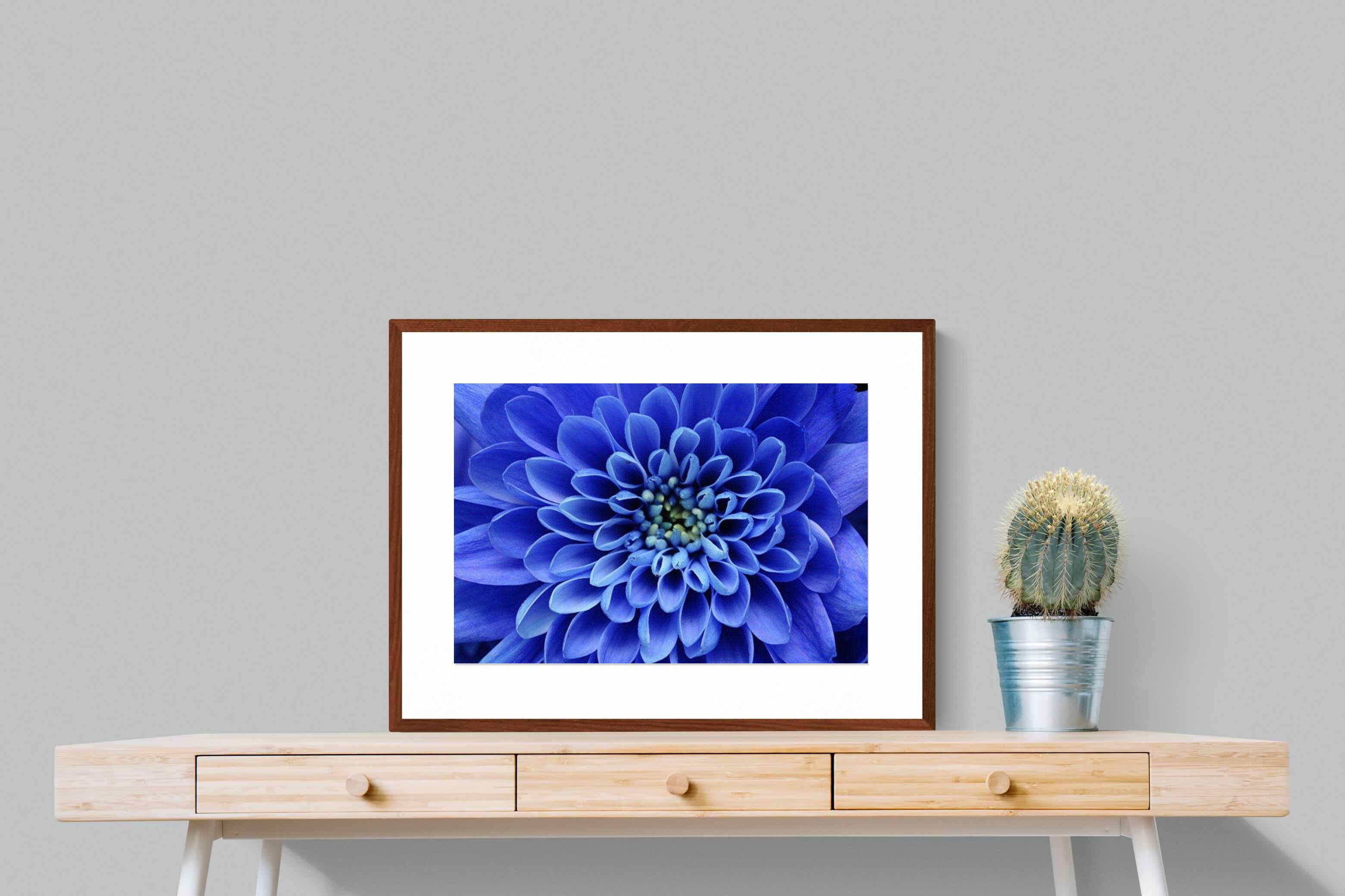 Pixalot ® Blue Petals