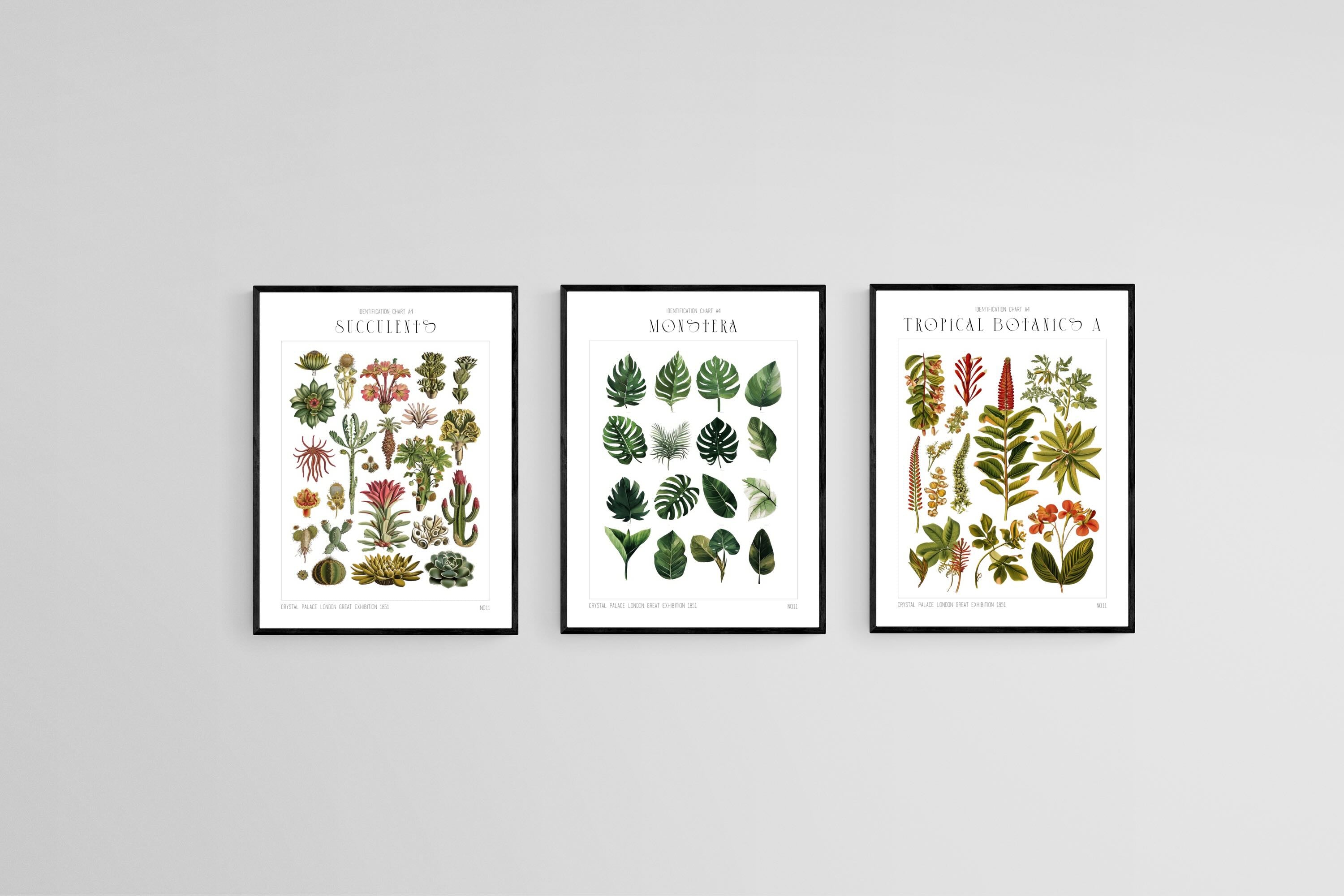 Botanical Collection Set