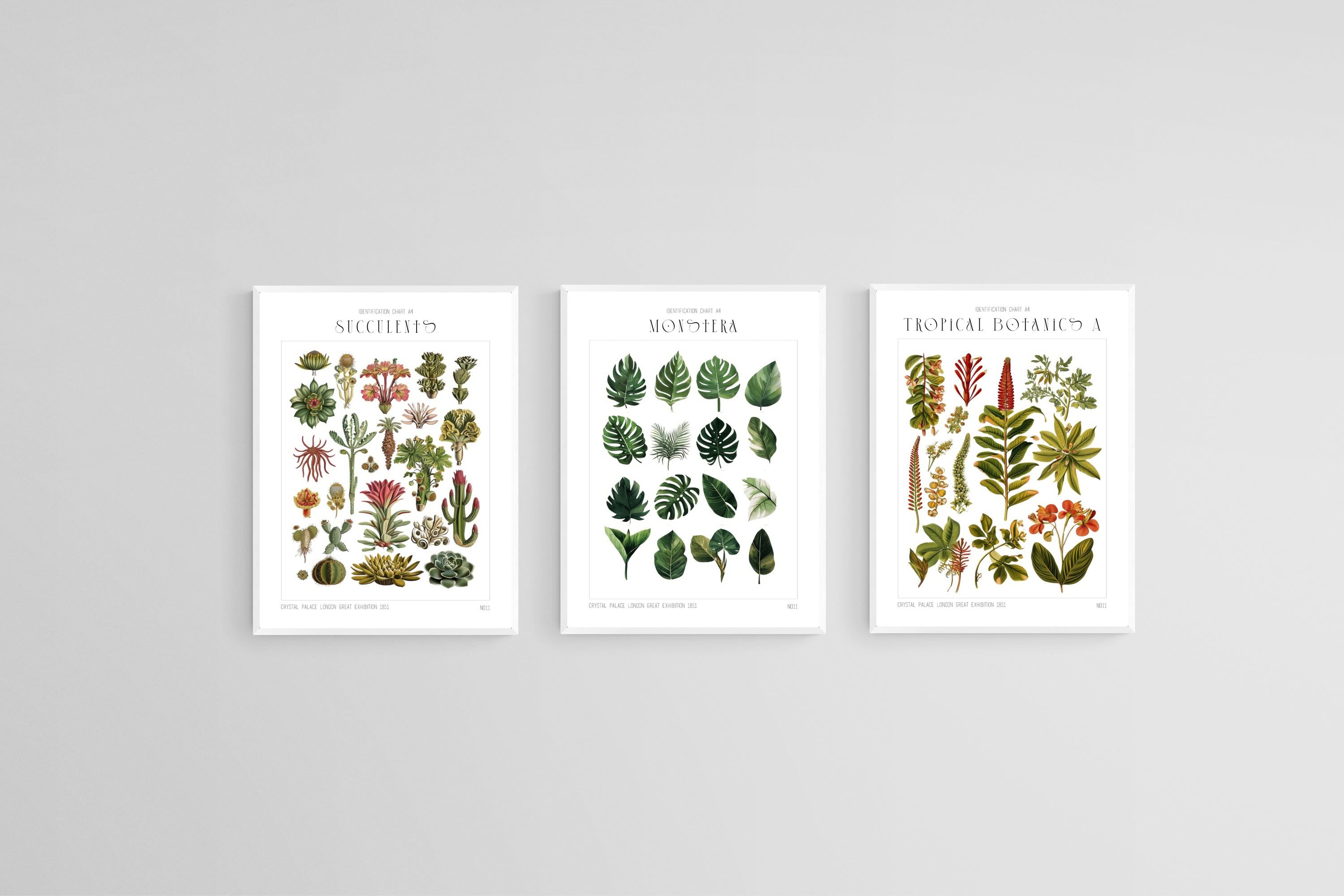 Botanical Collection Set