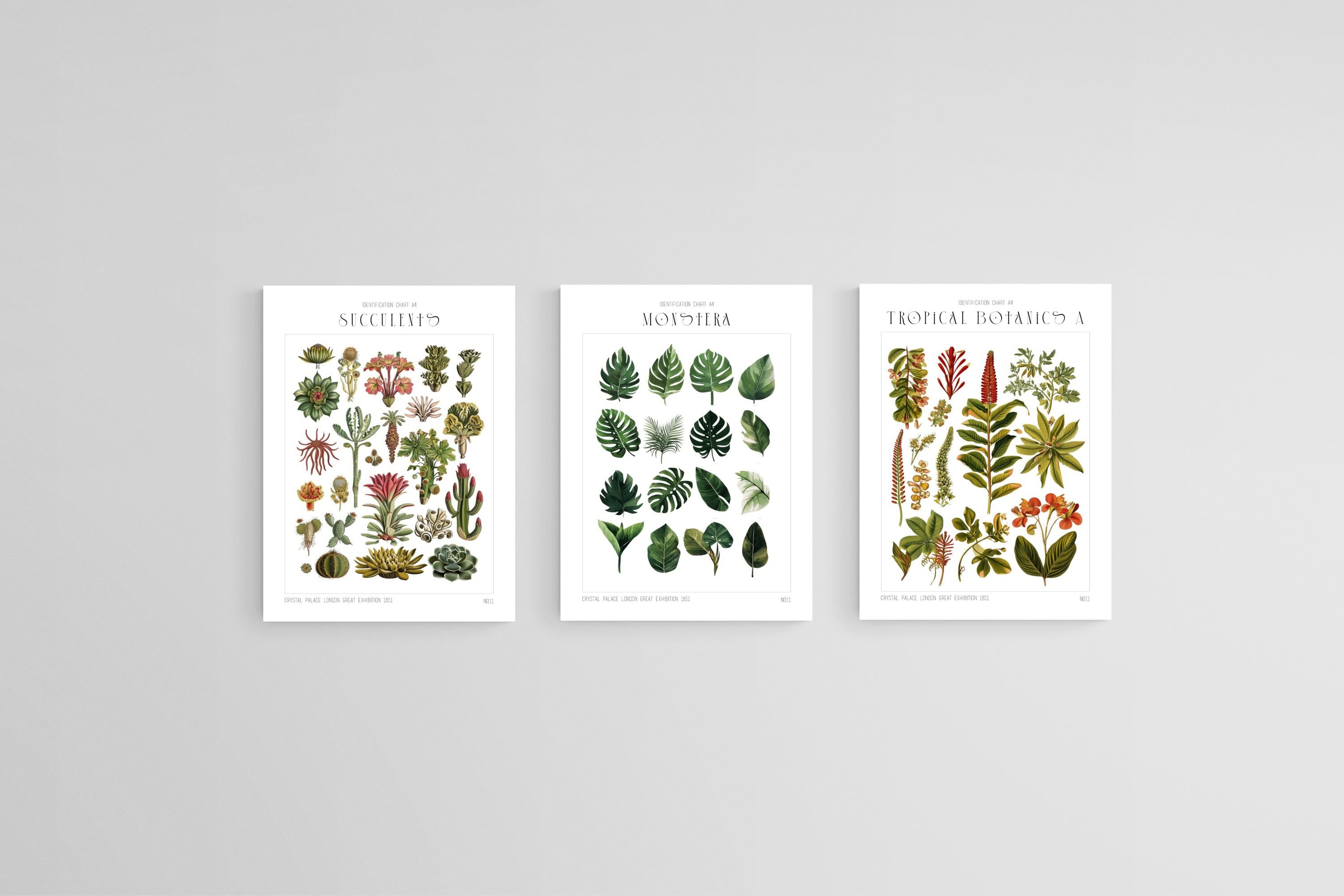 Botanical Collection Set