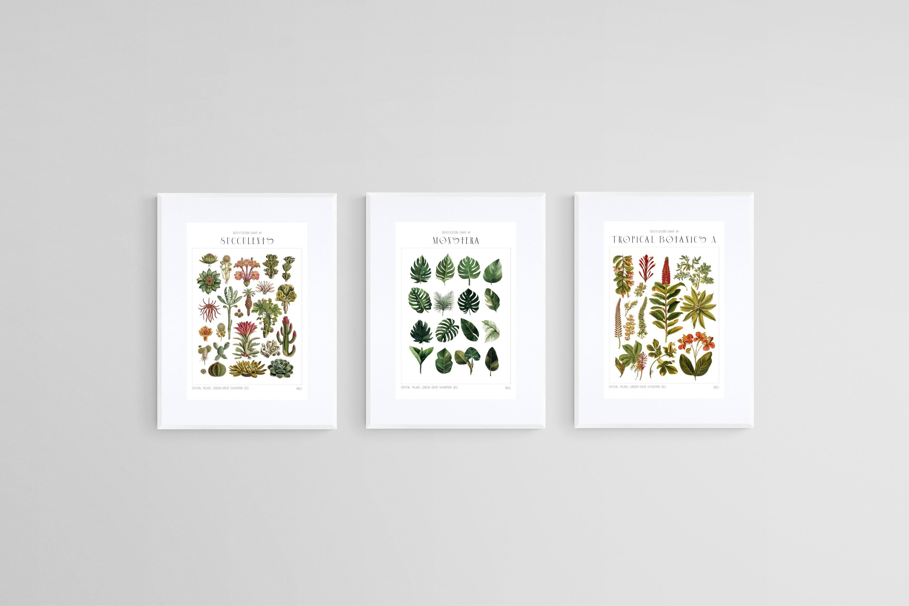 Botanical Collection Set