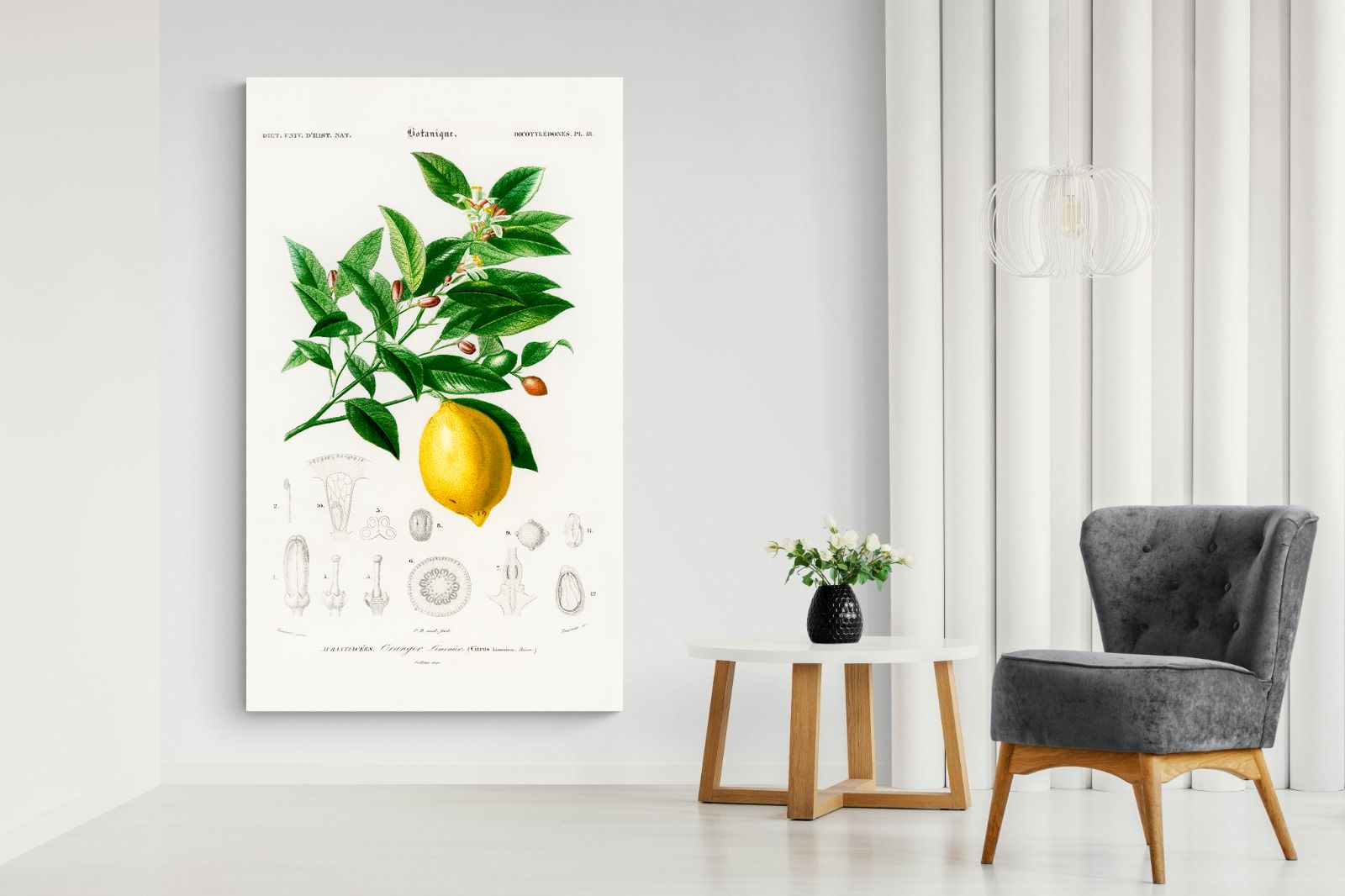 Pixalot Botanical Lemon