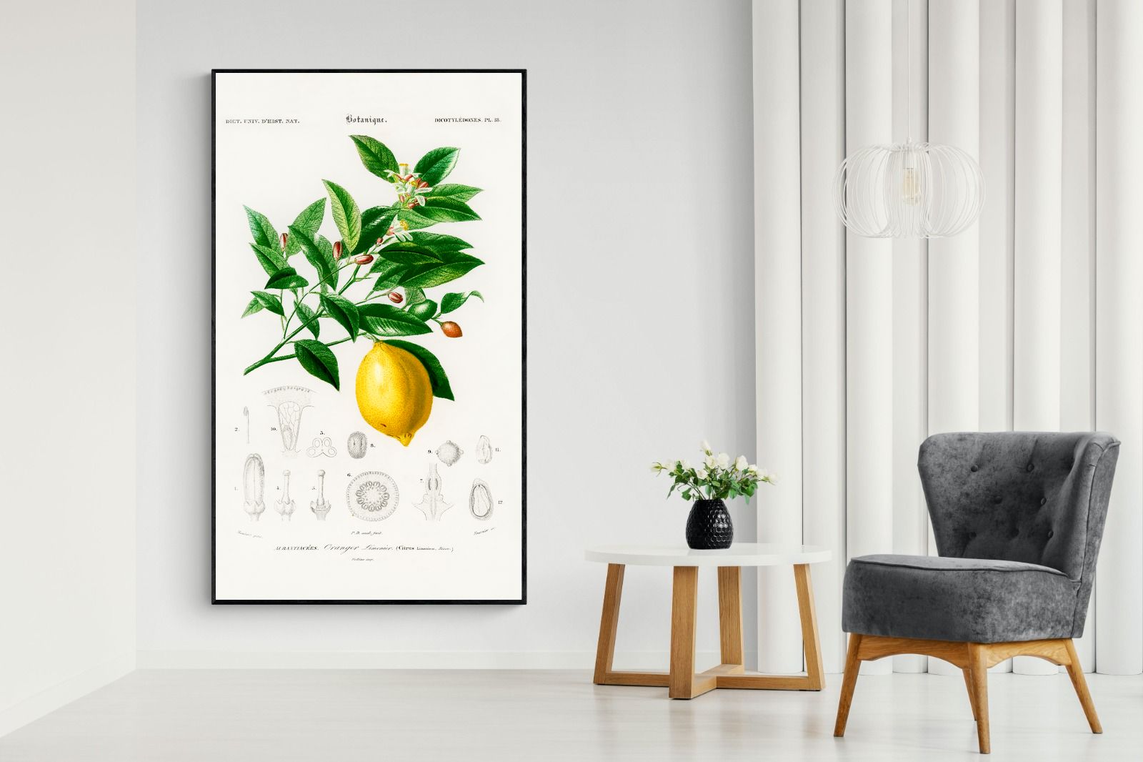 Pixalot Botanical Lemon