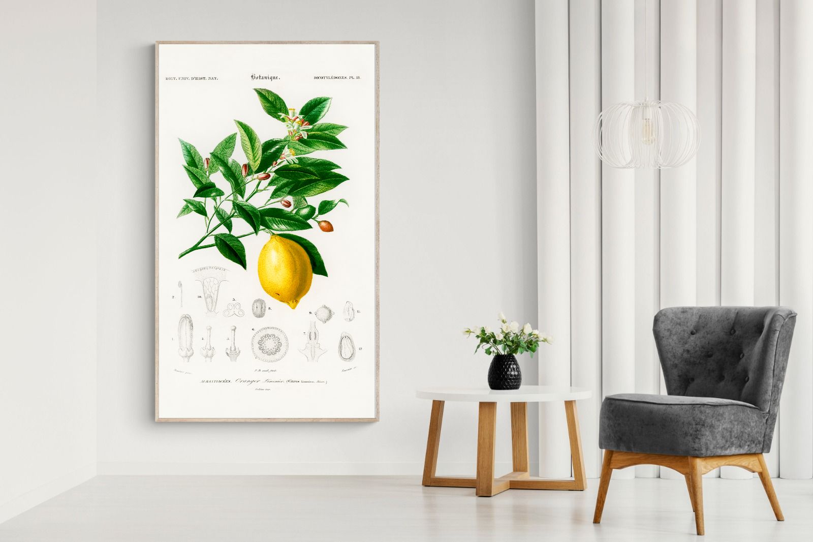 Pixalot Botanical Lemon