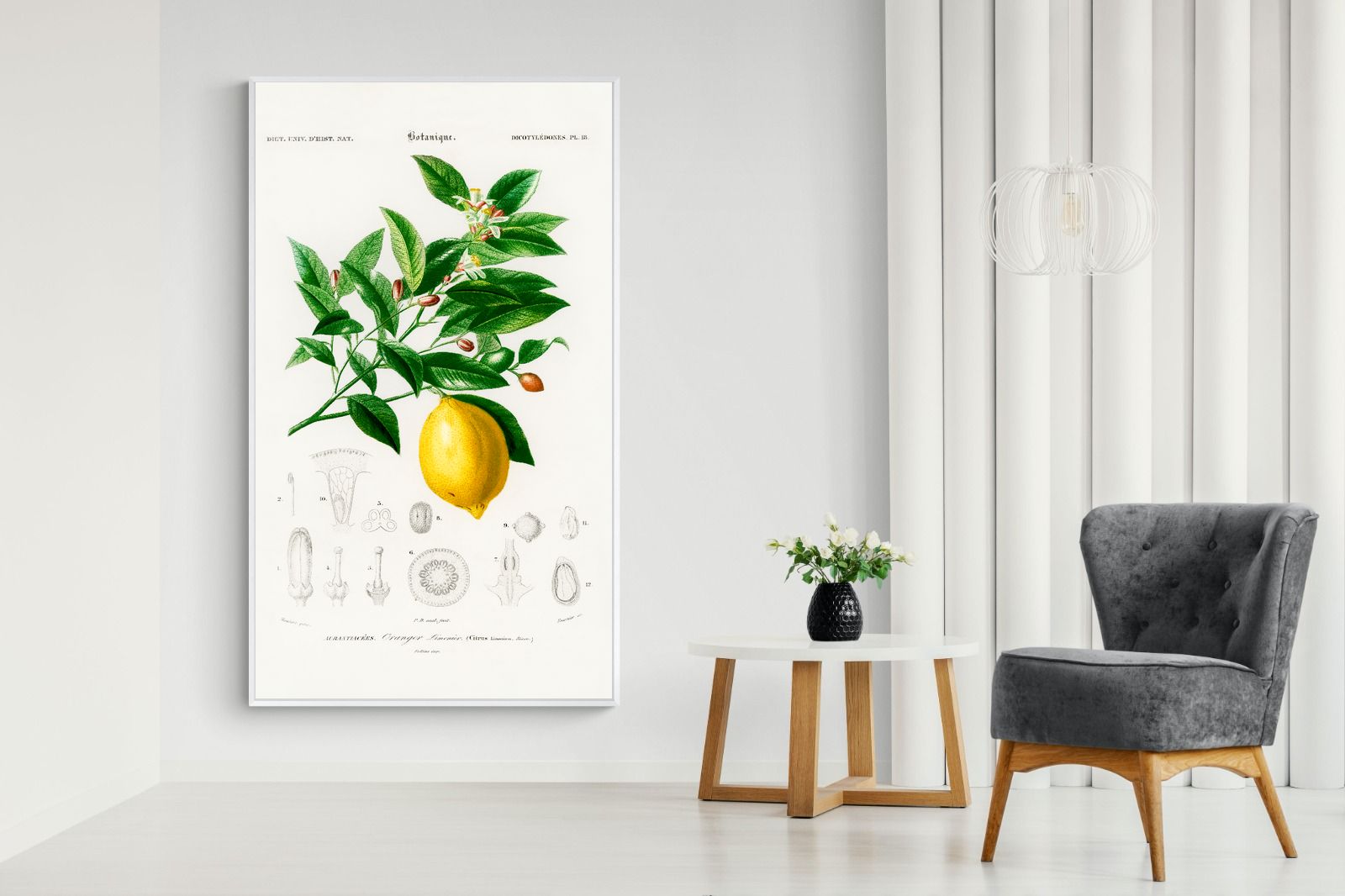 Pixalot Botanical Lemon