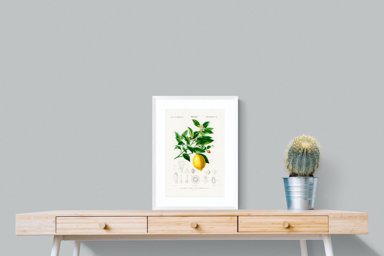 Pixalot Botanical Lemon