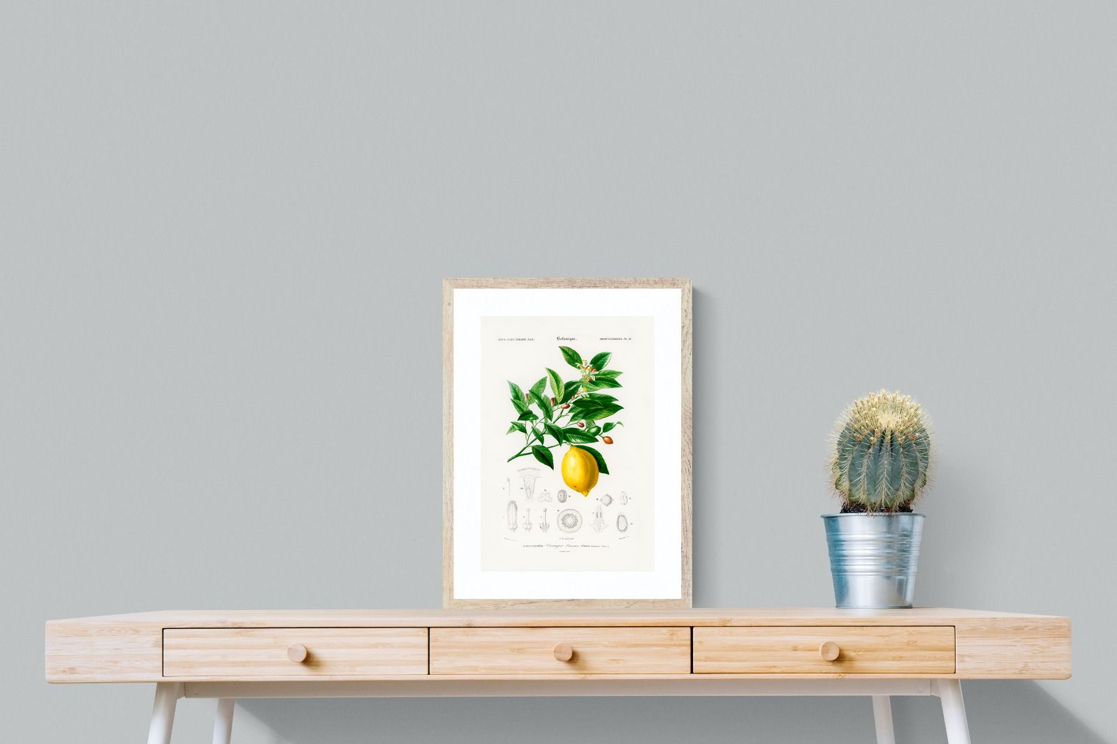 Pixalot Botanical Lemon