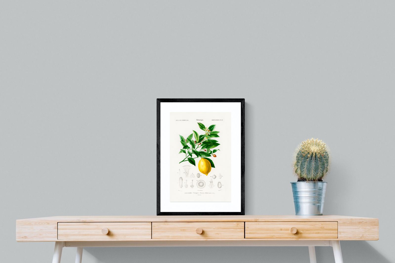 Pixalot Botanical Lemon