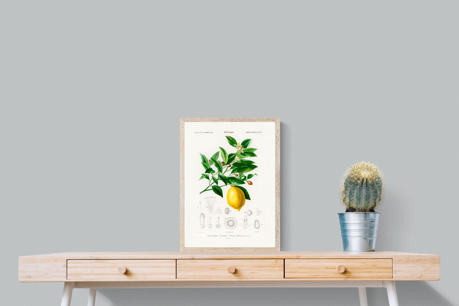 Pixalot Botanical Lemon