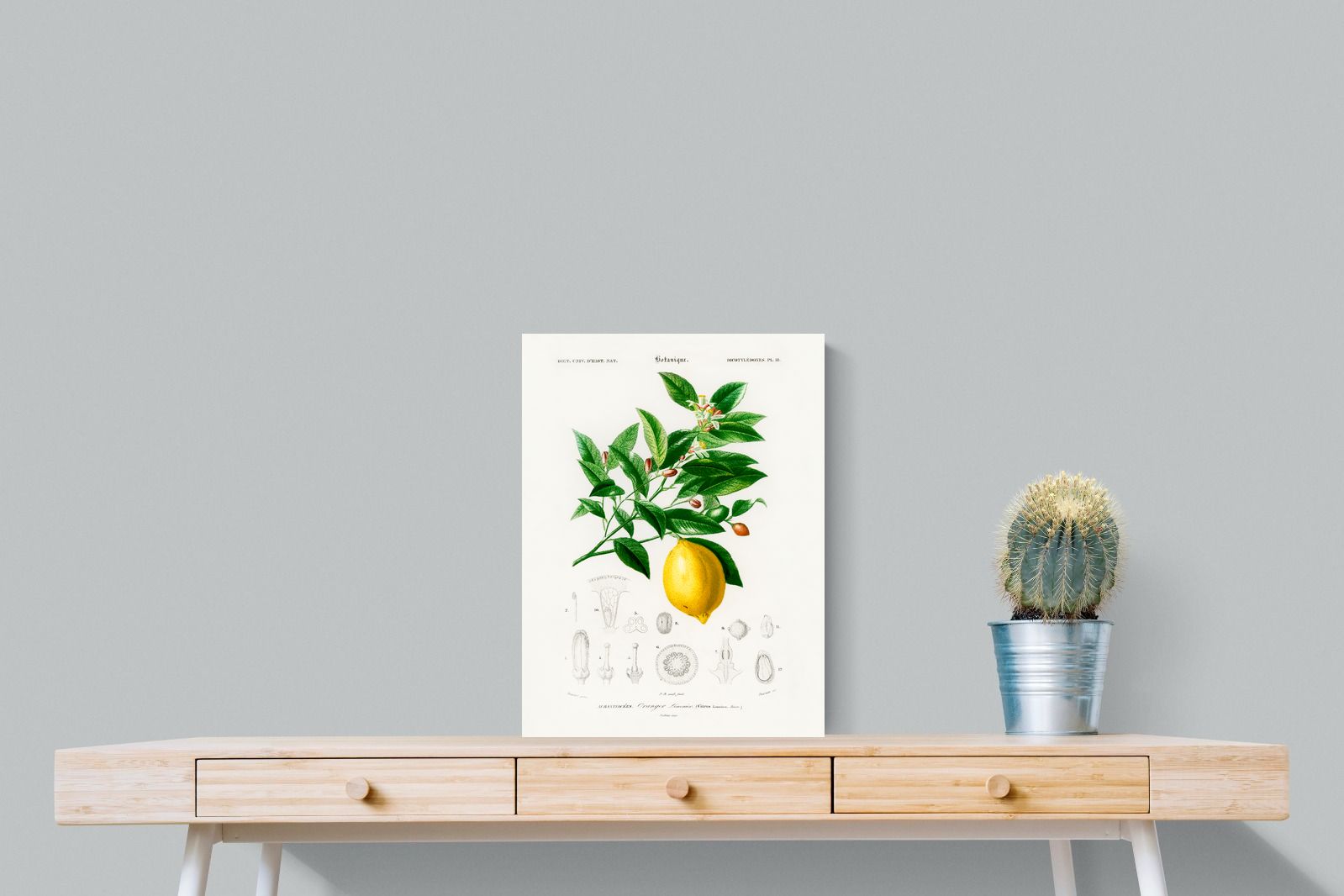 Pixalot Botanical Lemon