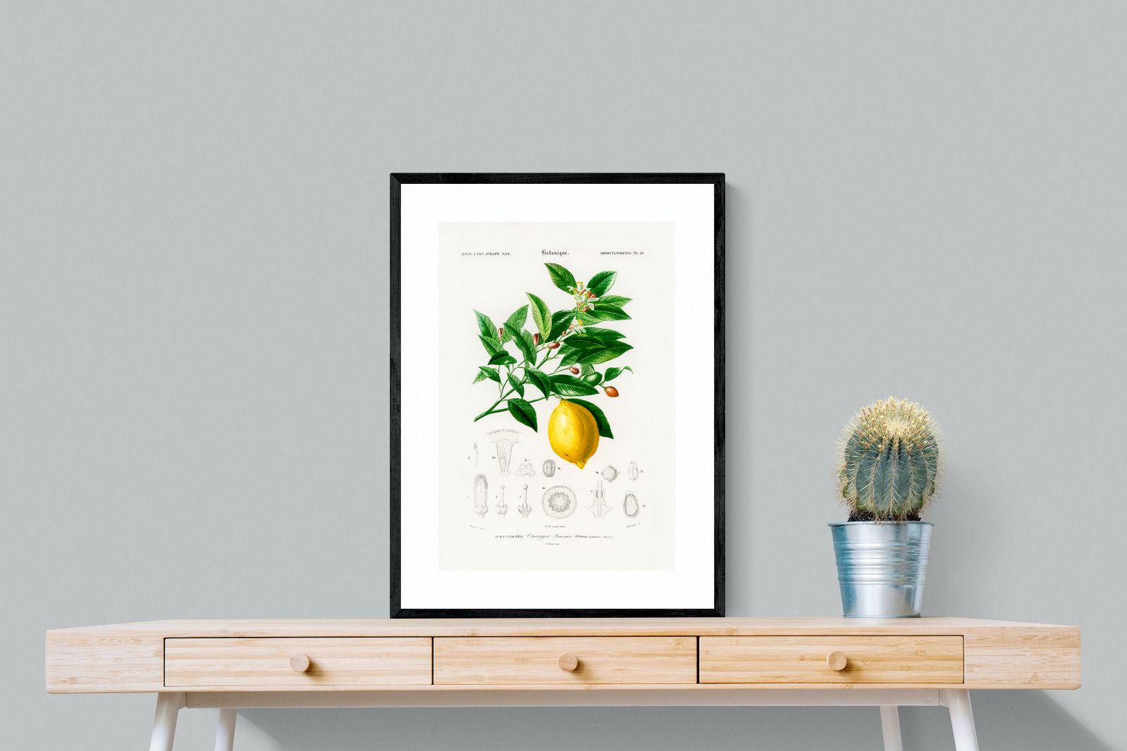 Pixalot Botanical Lemon