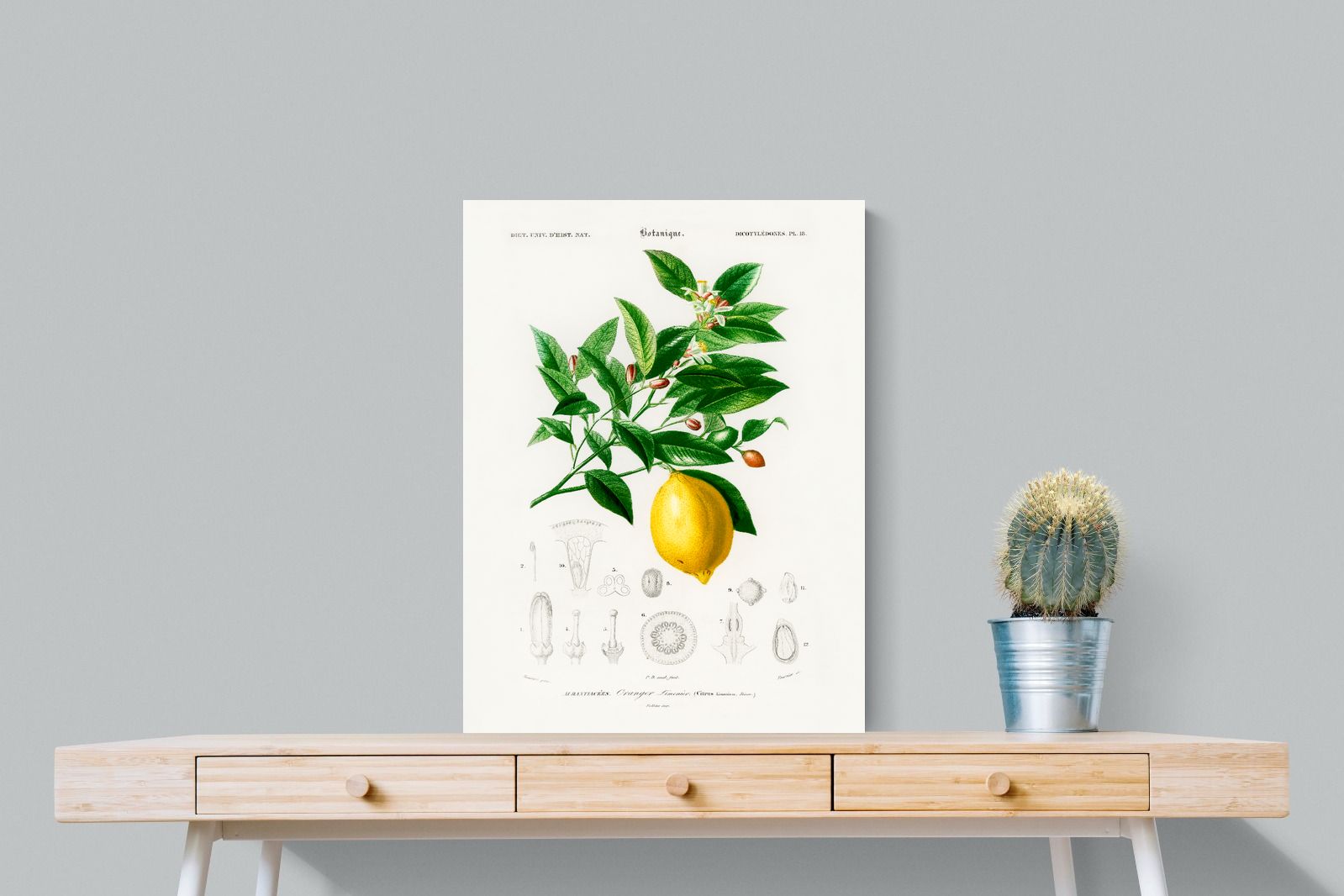 Pixalot Botanical Lemon