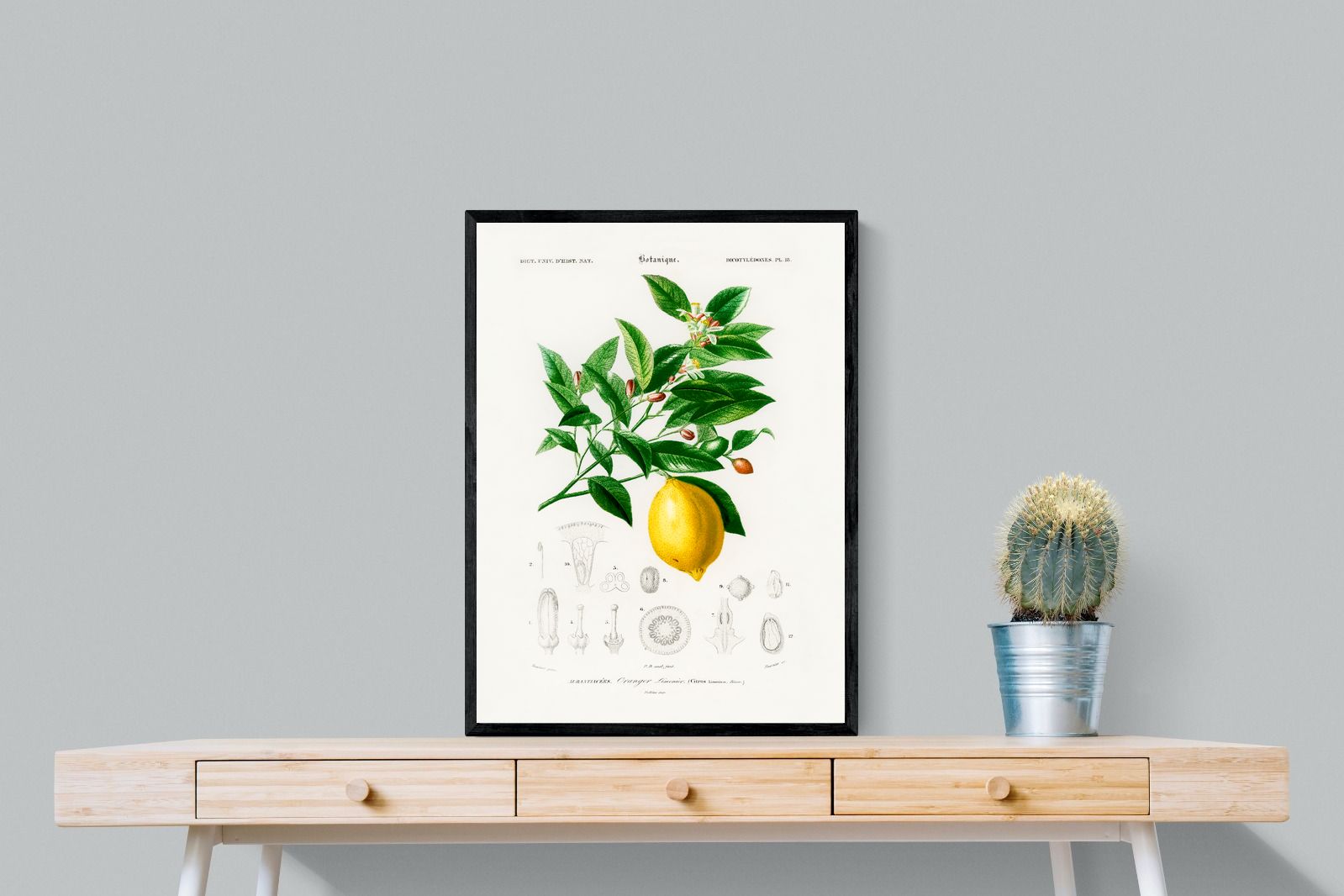 Pixalot Botanical Lemon