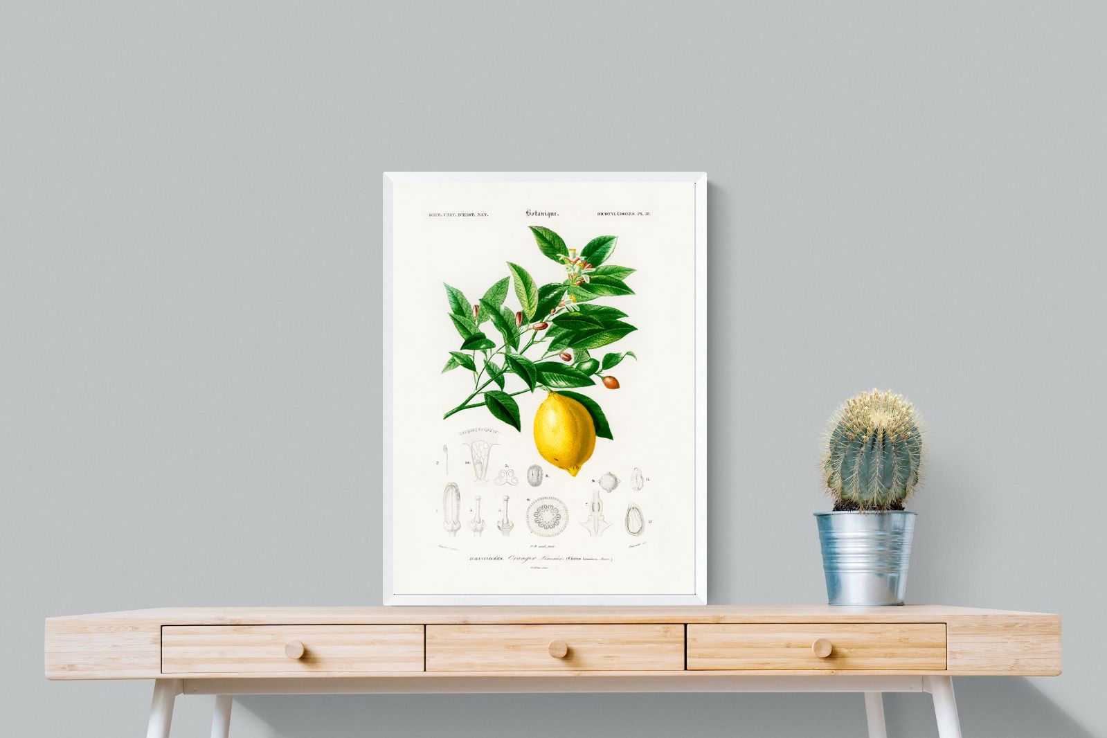 Pixalot Botanical Lemon