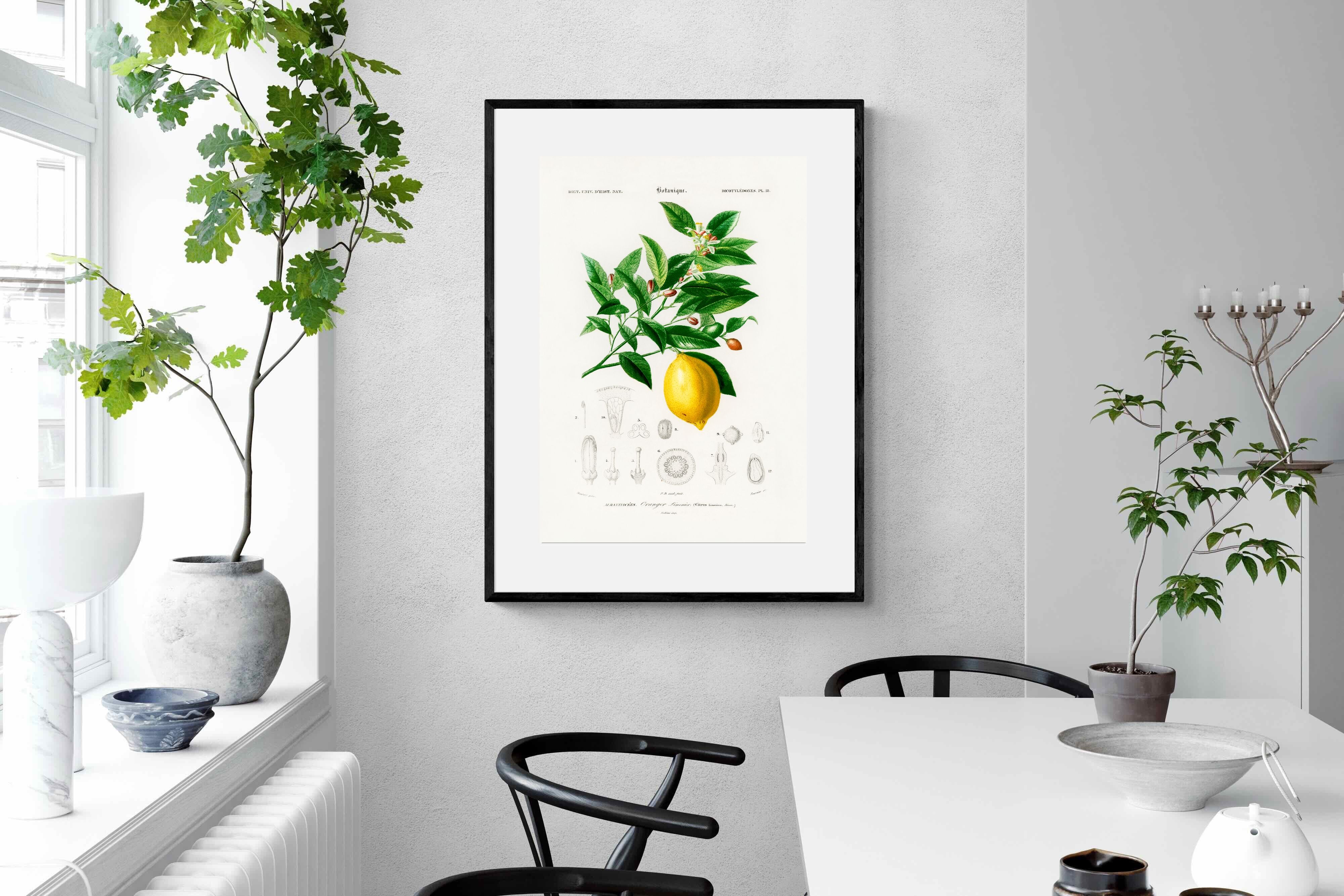 Pixalot Botanical Lemon