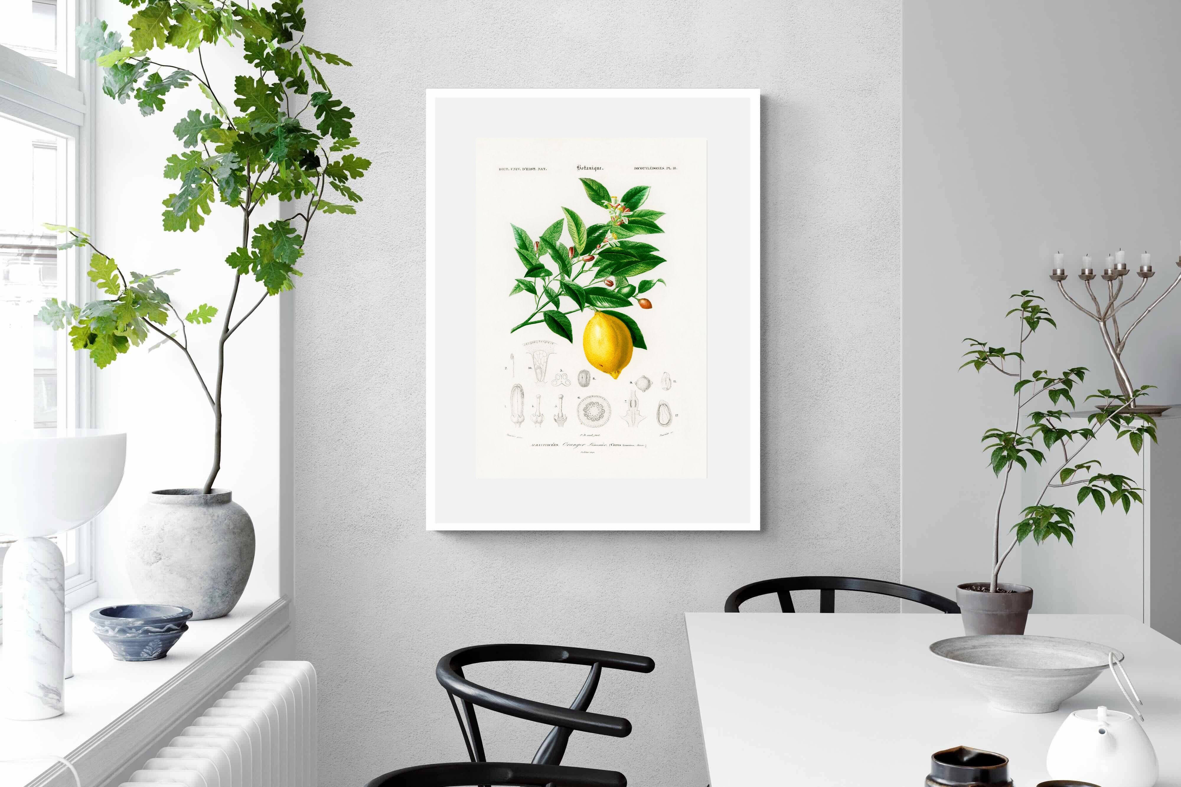 Pixalot Botanical Lemon