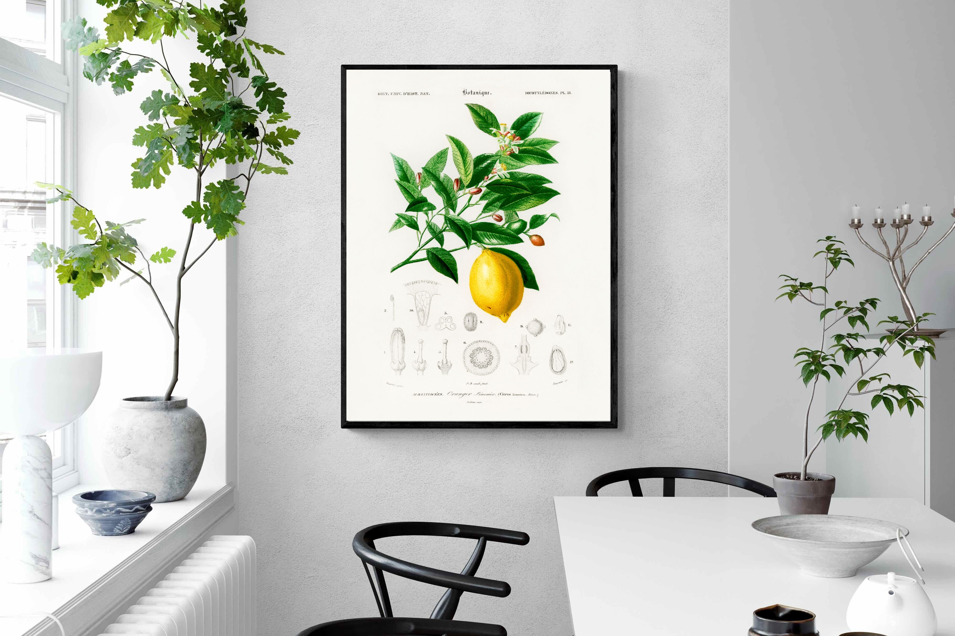 Pixalot Botanical Lemon