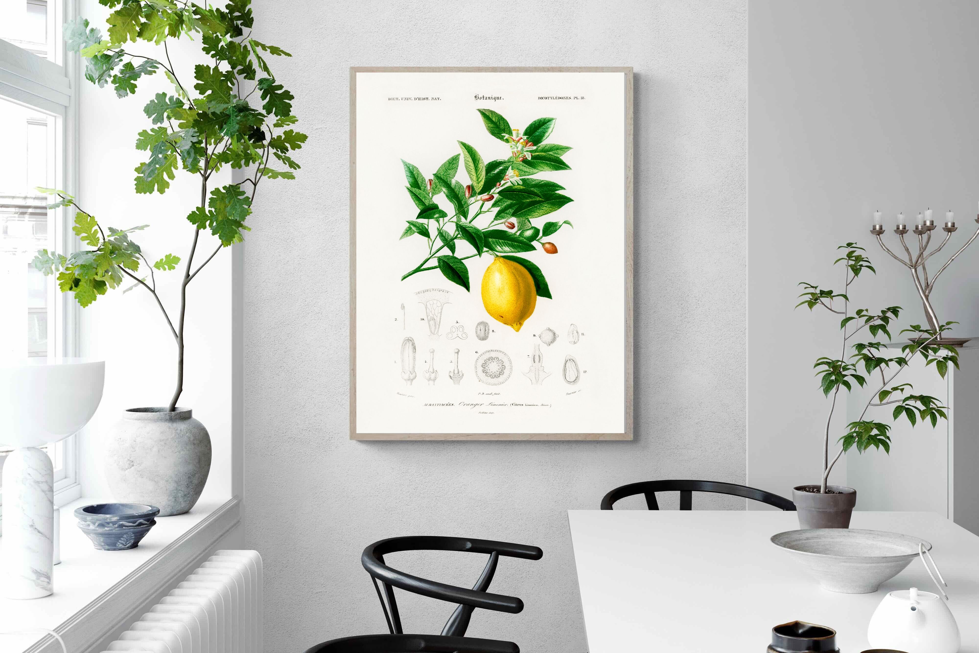 Pixalot Botanical Lemon