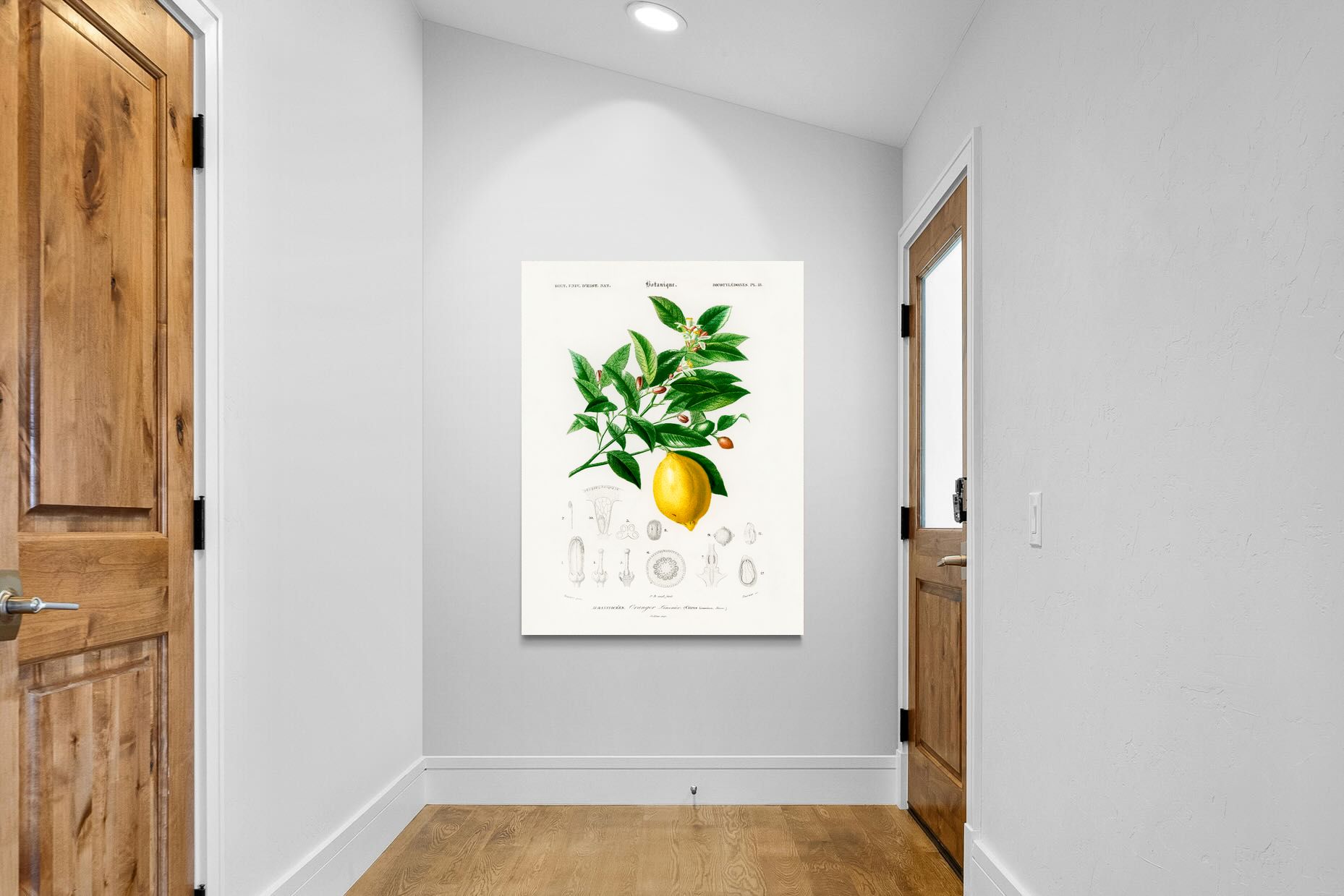 Pixalot Botanical Lemon