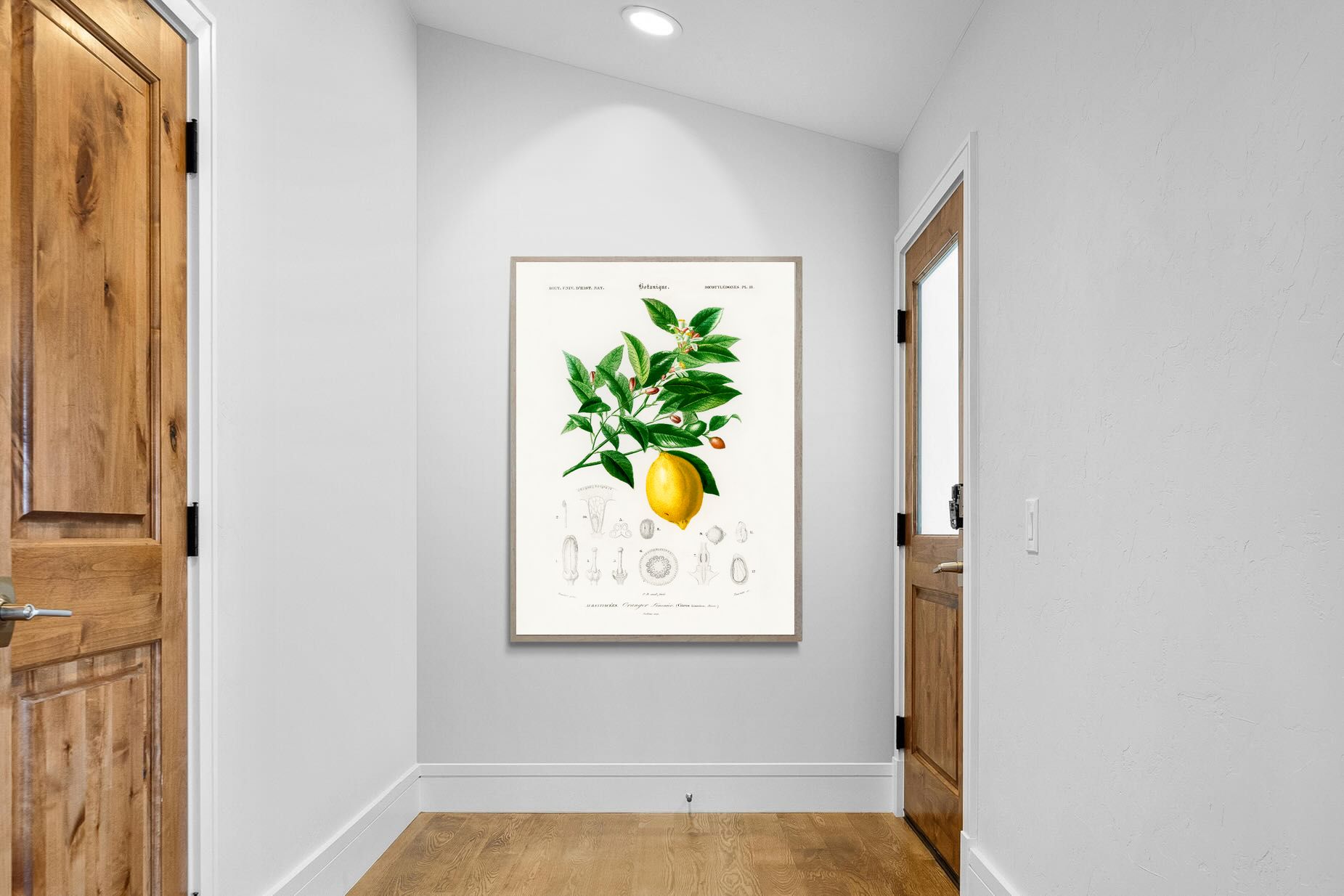 Pixalot Botanical Lemon