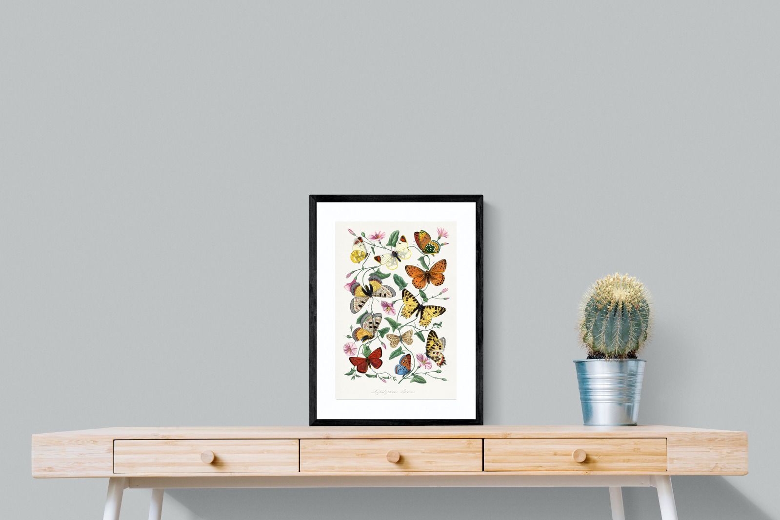 Pixalot Botanical Lepidoptera