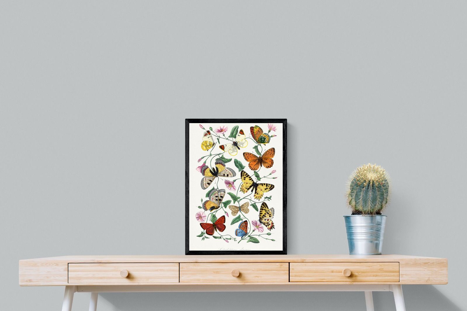 Pixalot Botanical Lepidoptera