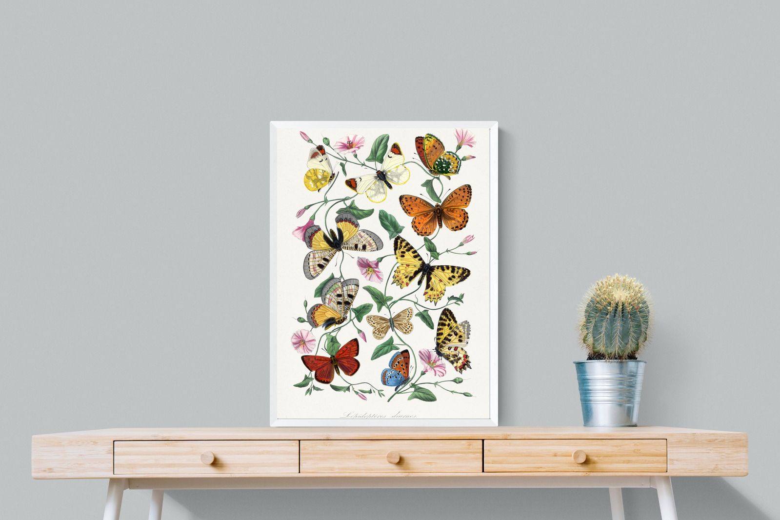 Pixalot Botanical Lepidoptera