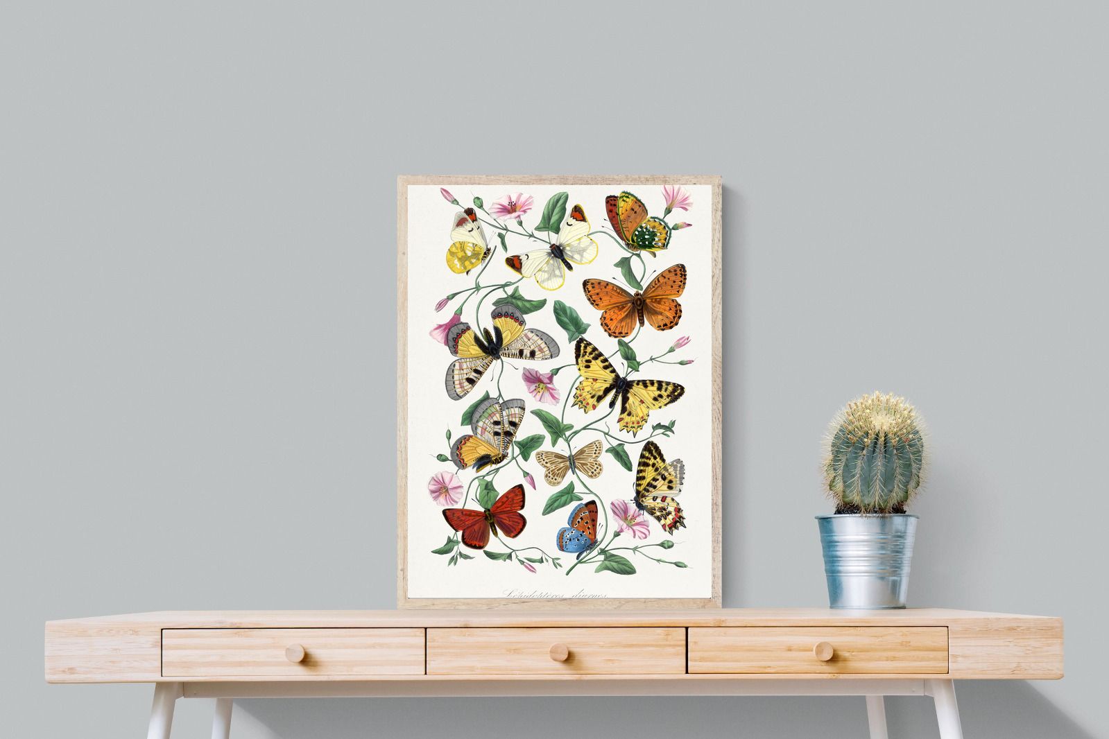 Pixalot Botanical Lepidoptera