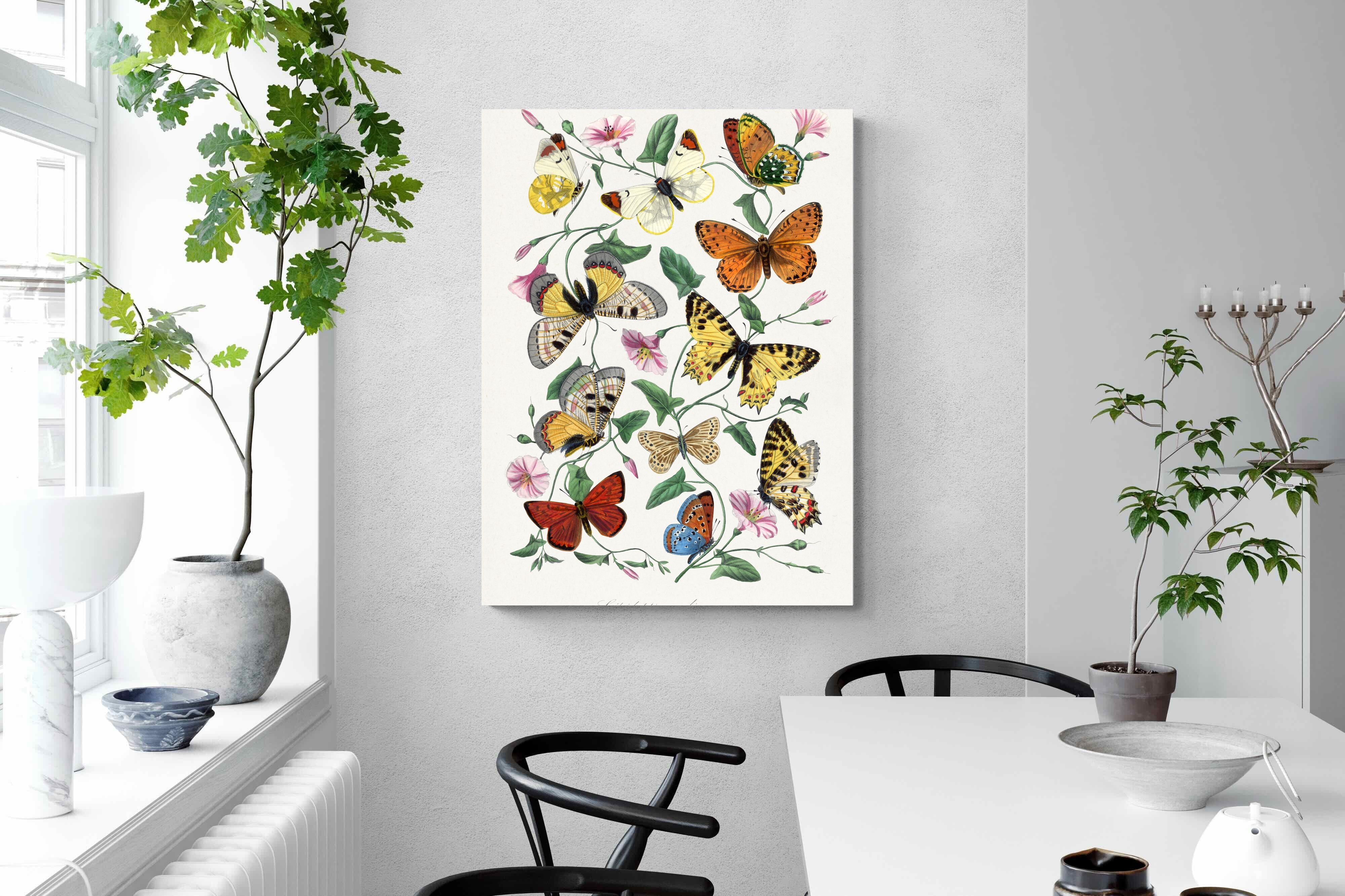 Pixalot Botanical Lepidoptera