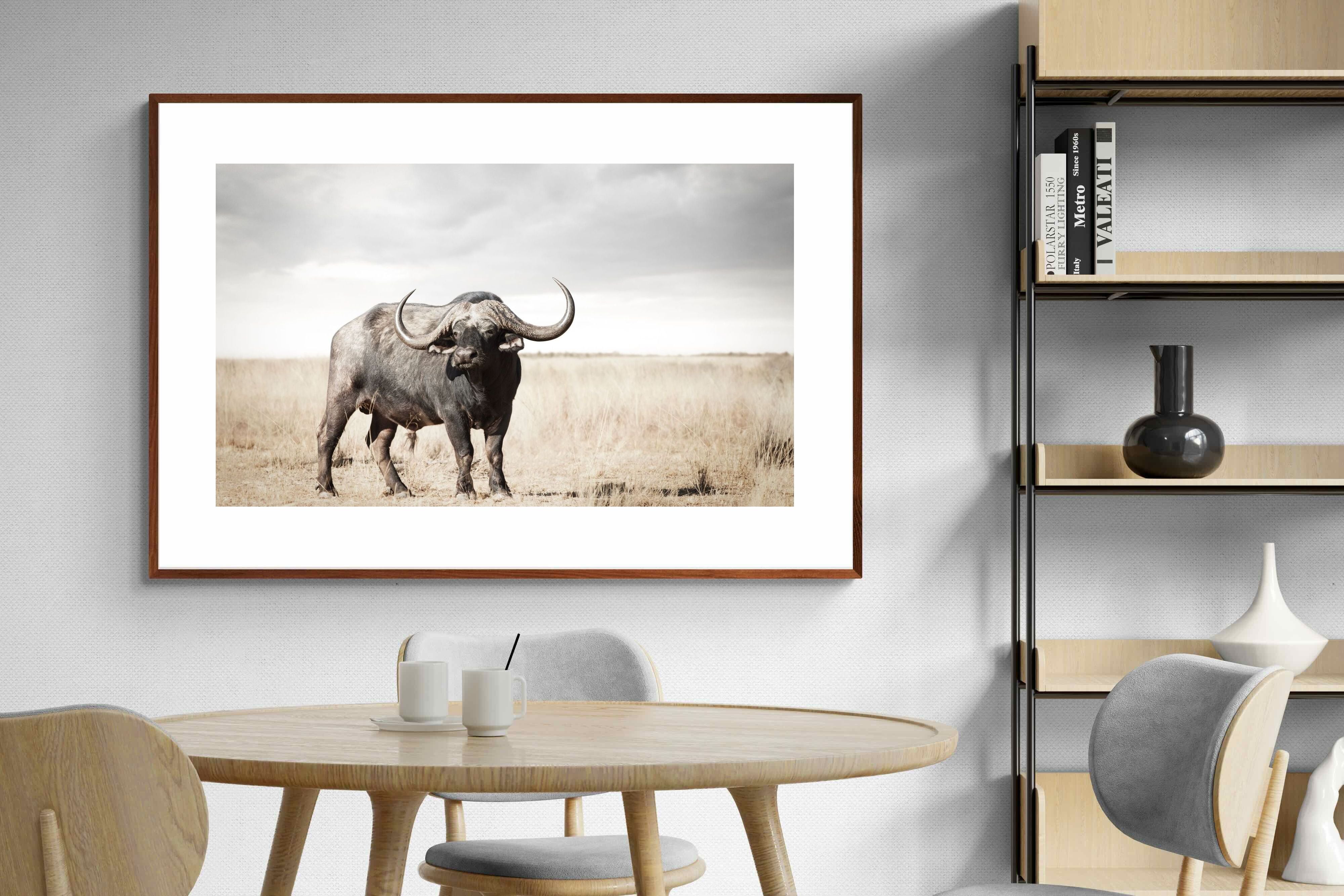 Pixalot ® Broad Buffalo