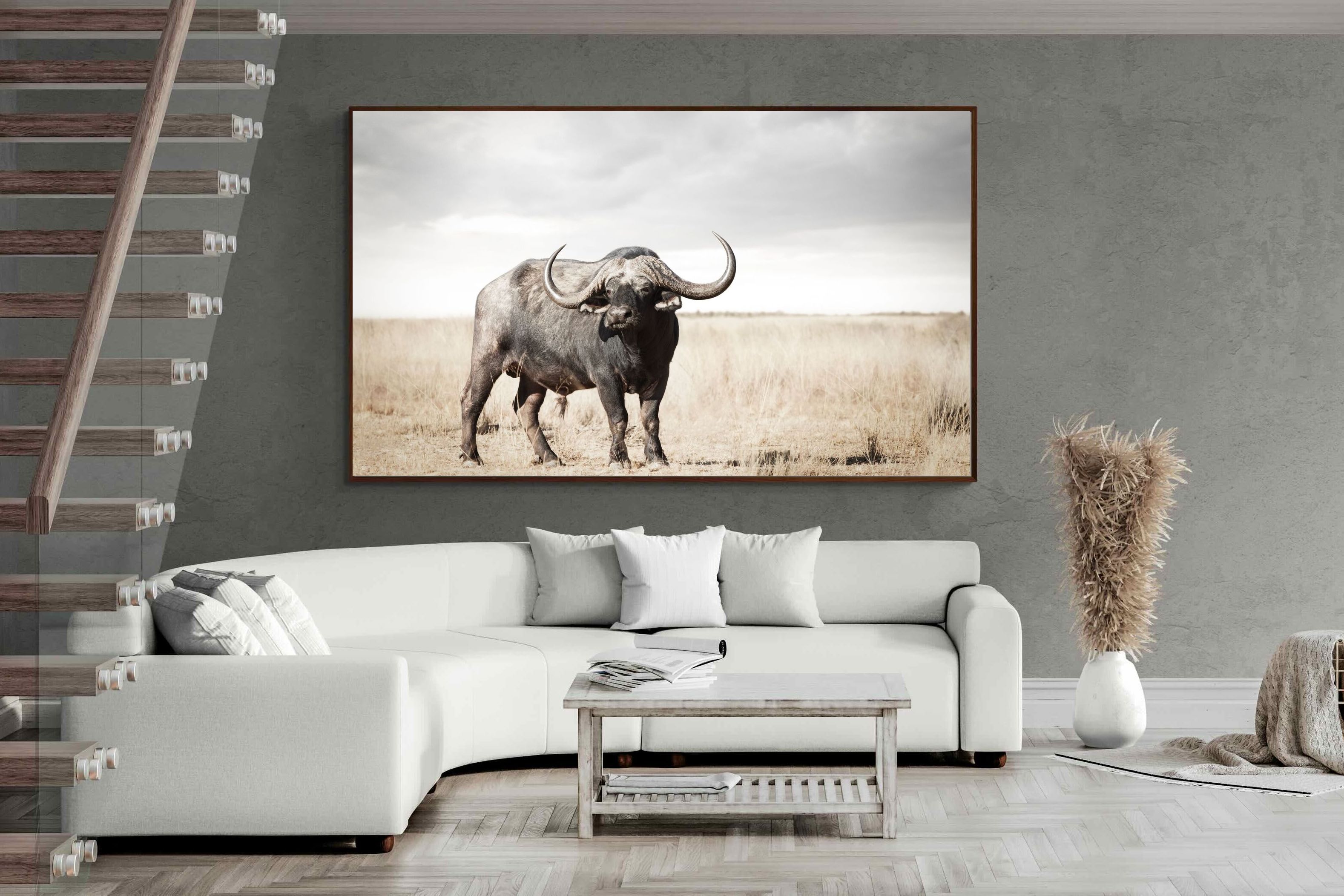 Pixalot ® Broad Buffalo