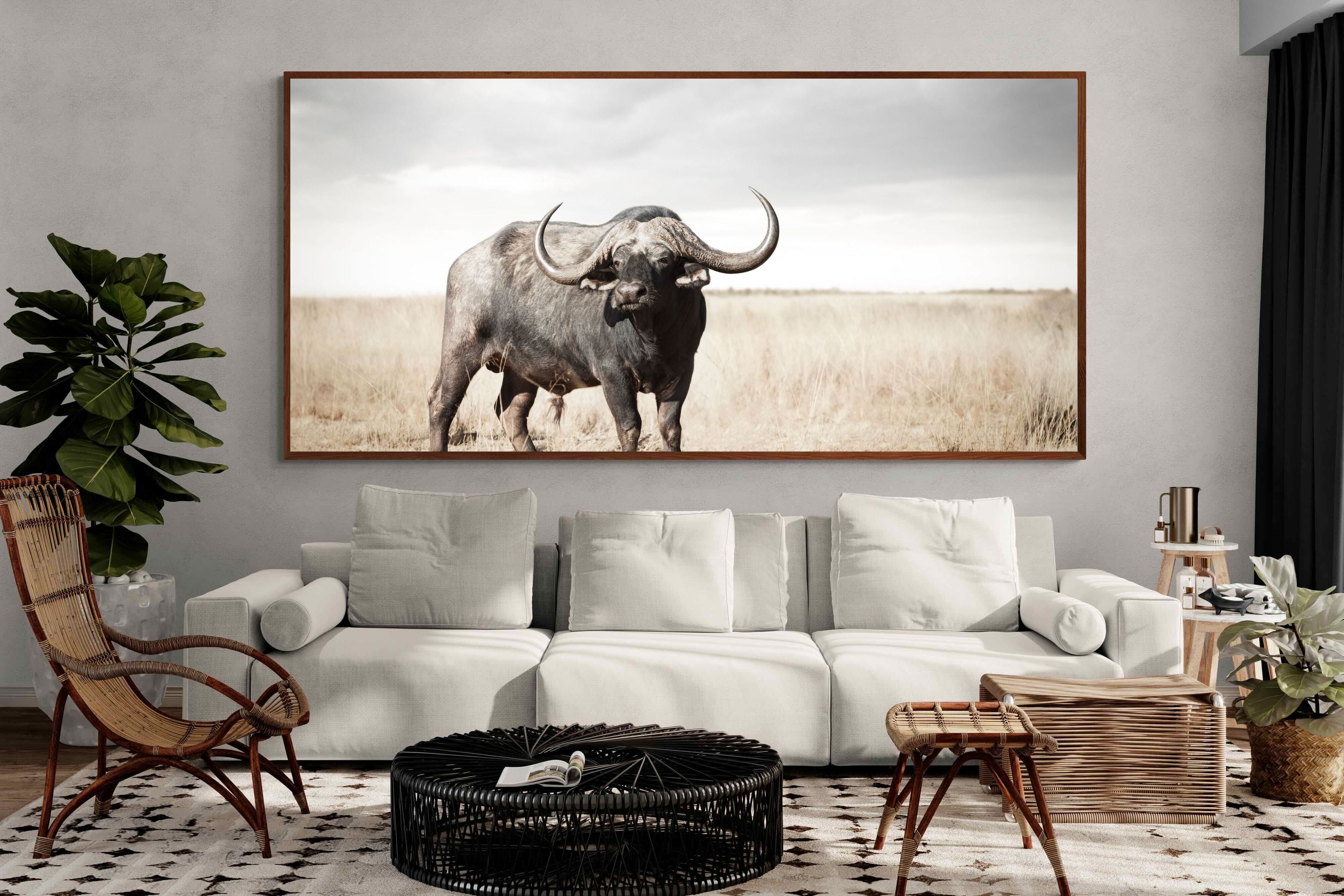 Pixalot ® Broad Buffalo