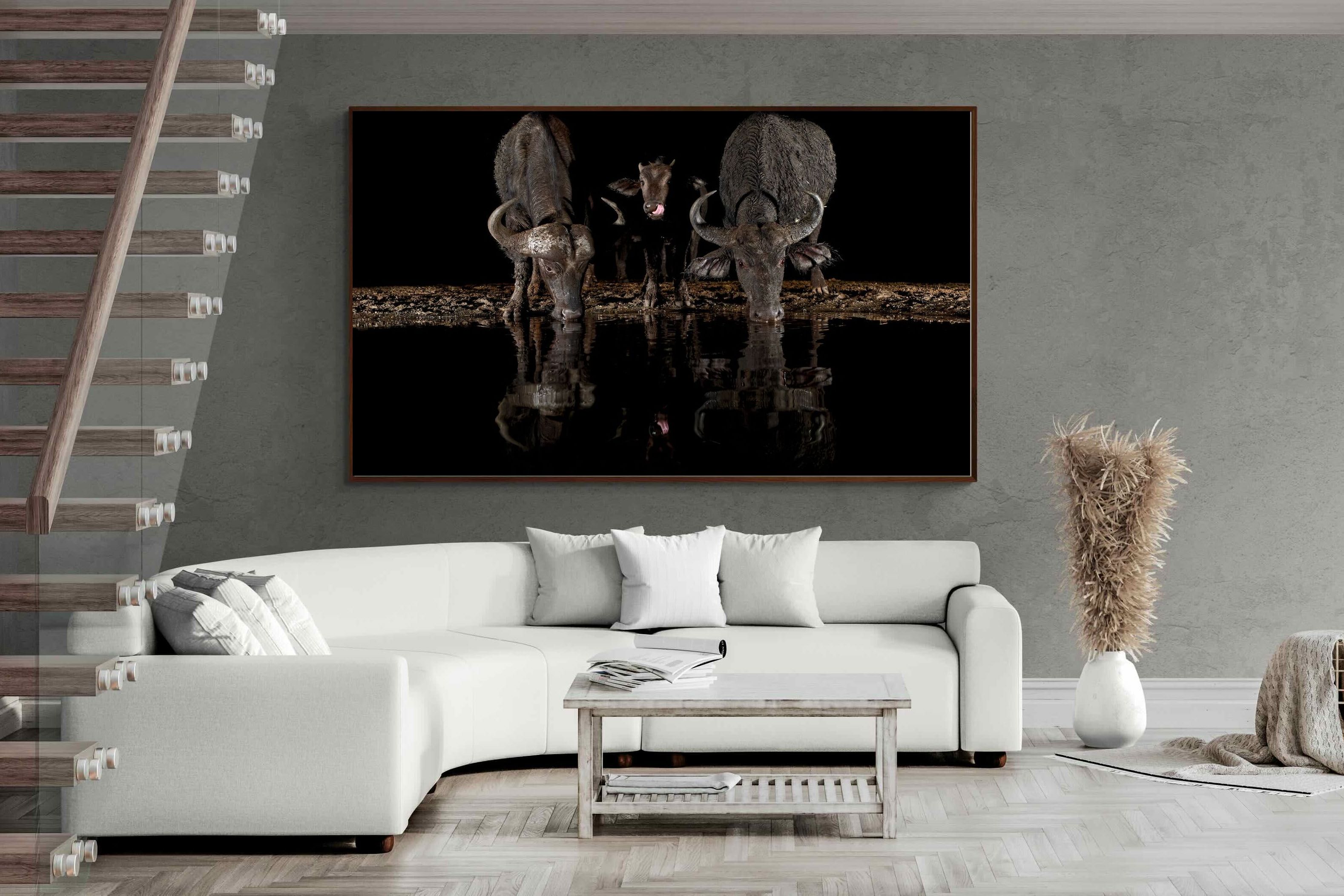 Pixalot ® Buffalo Family
