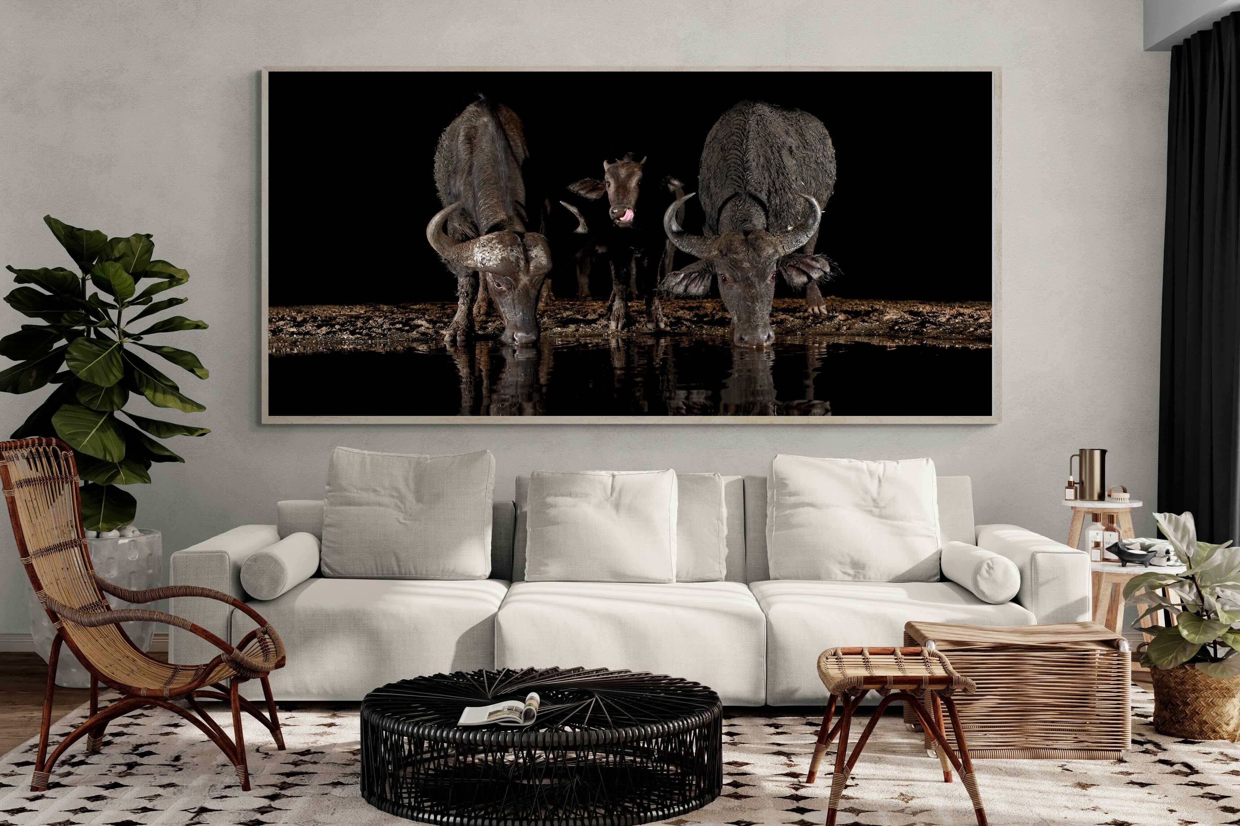 Pixalot Buffalo Family